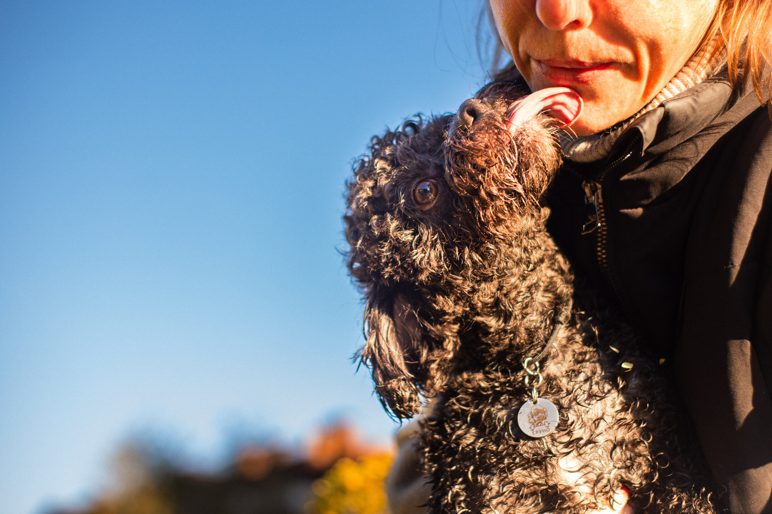 Анна и Бруно. Фотограф-анималист Мария Баркевич | Москва