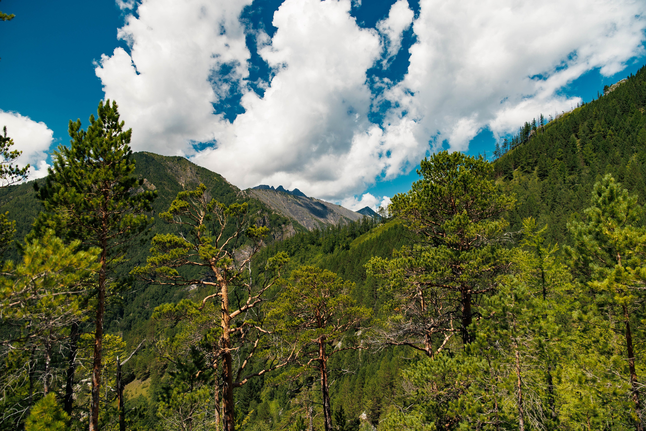 Летний Байкал