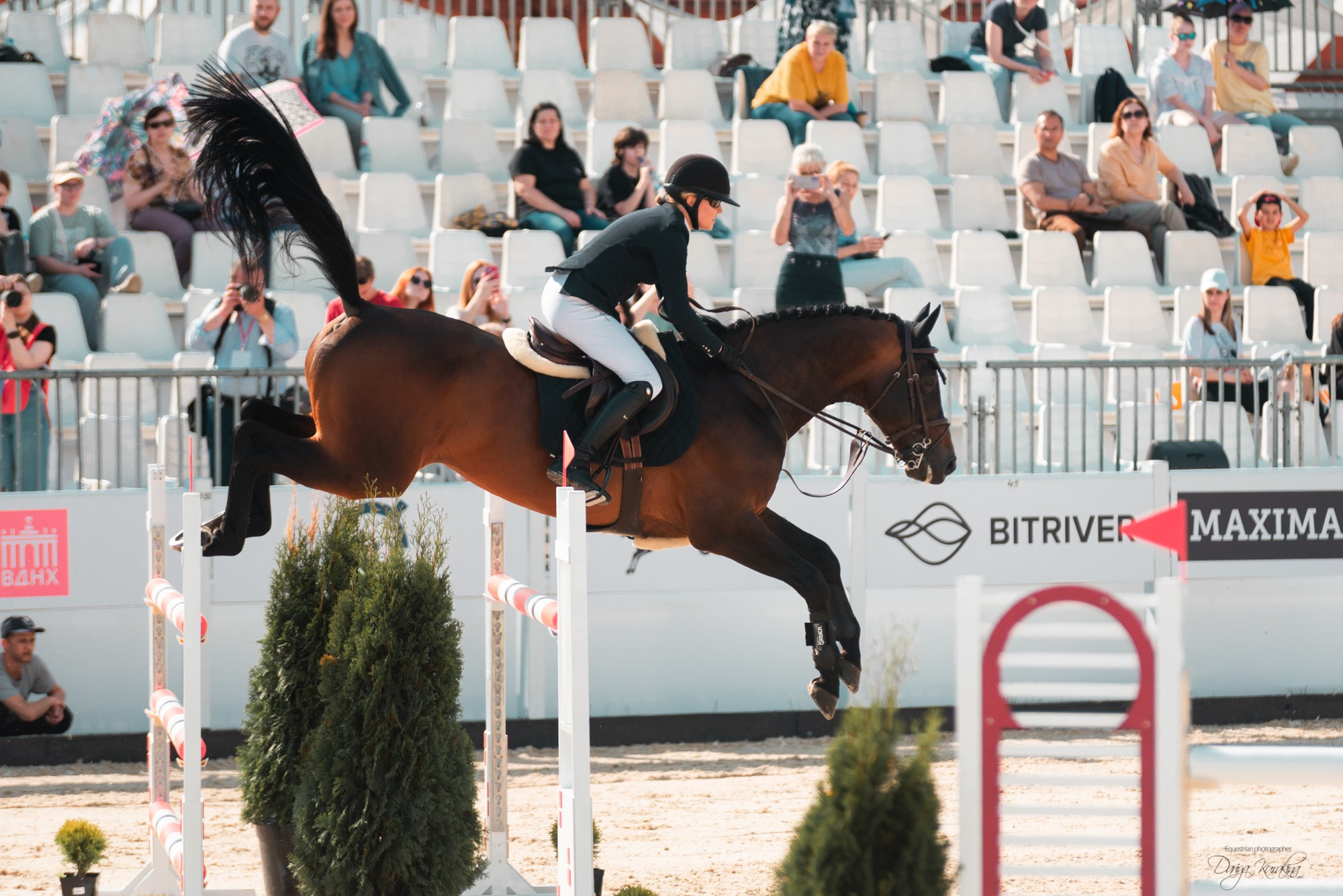 BITRIVER CUP 2023. Конный фотограф Куракина Дарья • Фотосессии с лошадьми