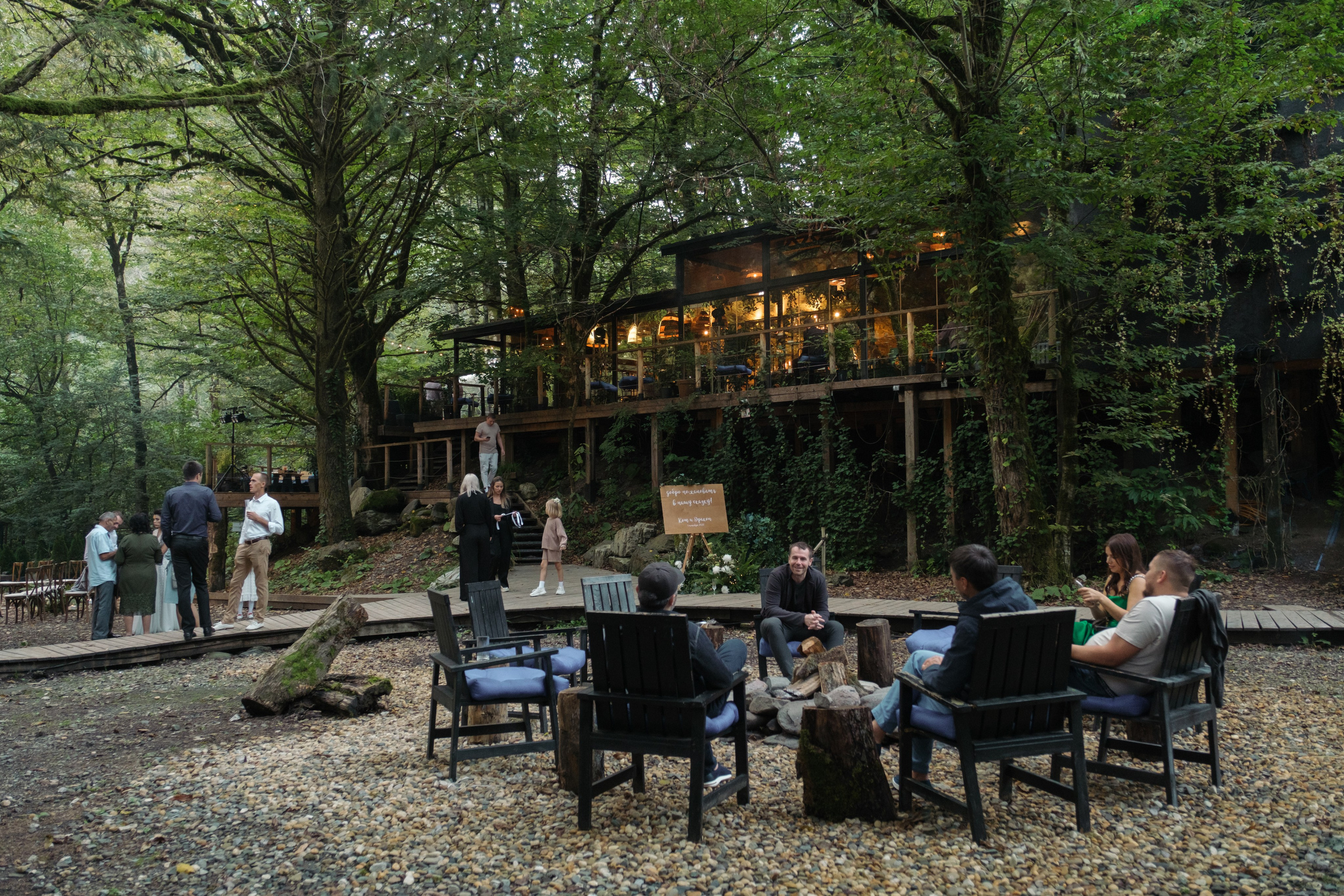 Кот и Дракон. Свадебный Видеограф Фотограф в Сочи