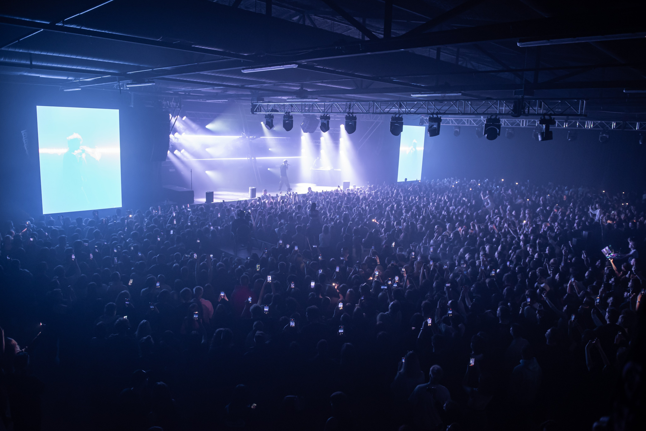 Pharaon. Royal Park. Фотограф в Калининграде Роман Большаков