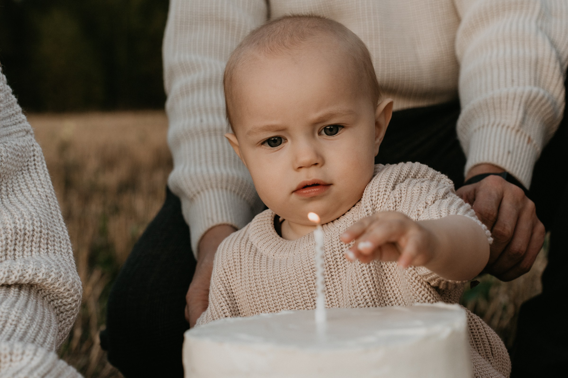 Семейная в полях. Фотохудожник Гордеева Анна г. Владимир