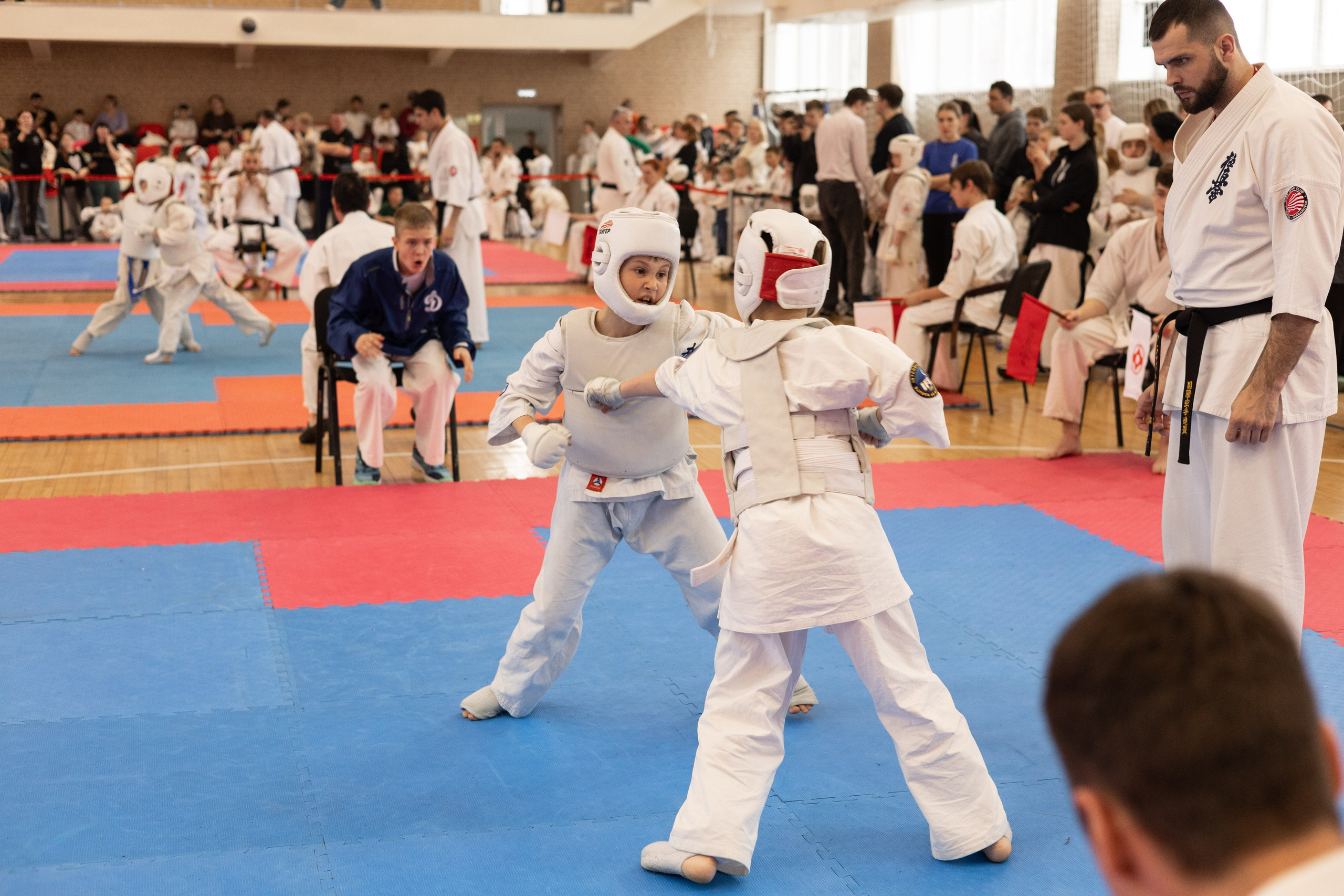 СПОРТ и ЦИРК. Портретный, свадебный, репортажный фотограф во Владивостоке Юлиана Джули Фокс