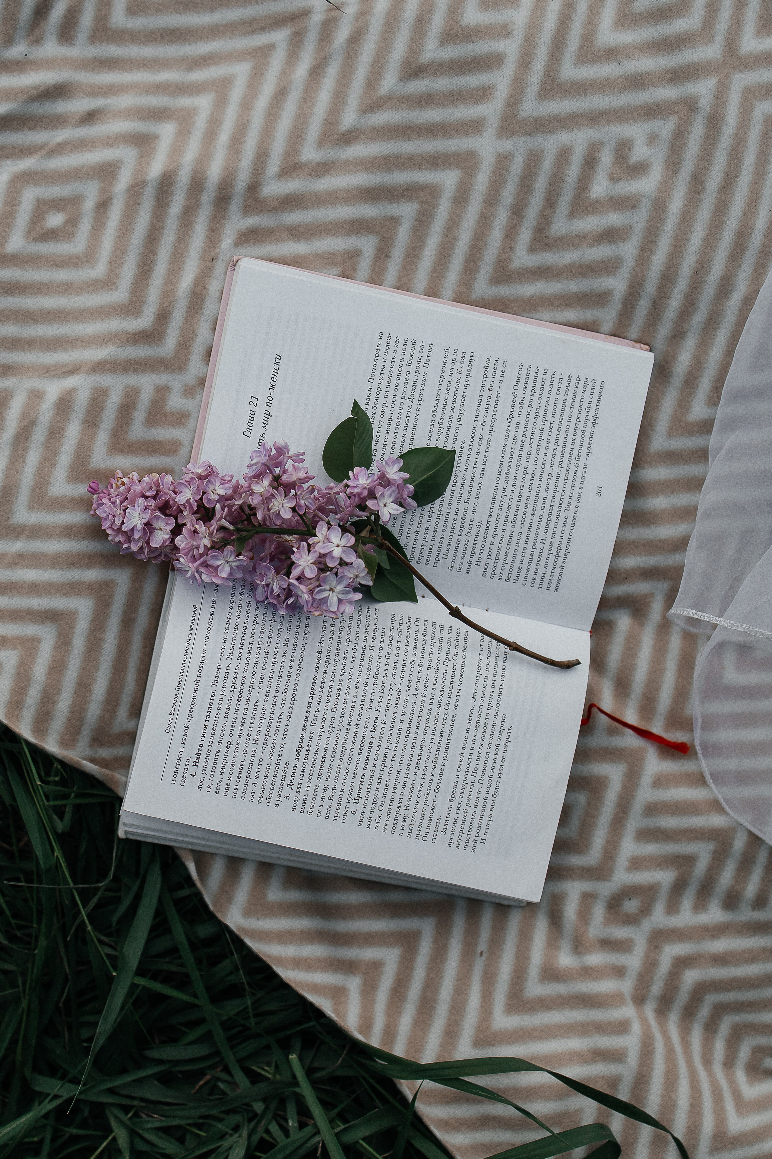 Сирень. Фотограф в Севастополе — Евгения Бойко