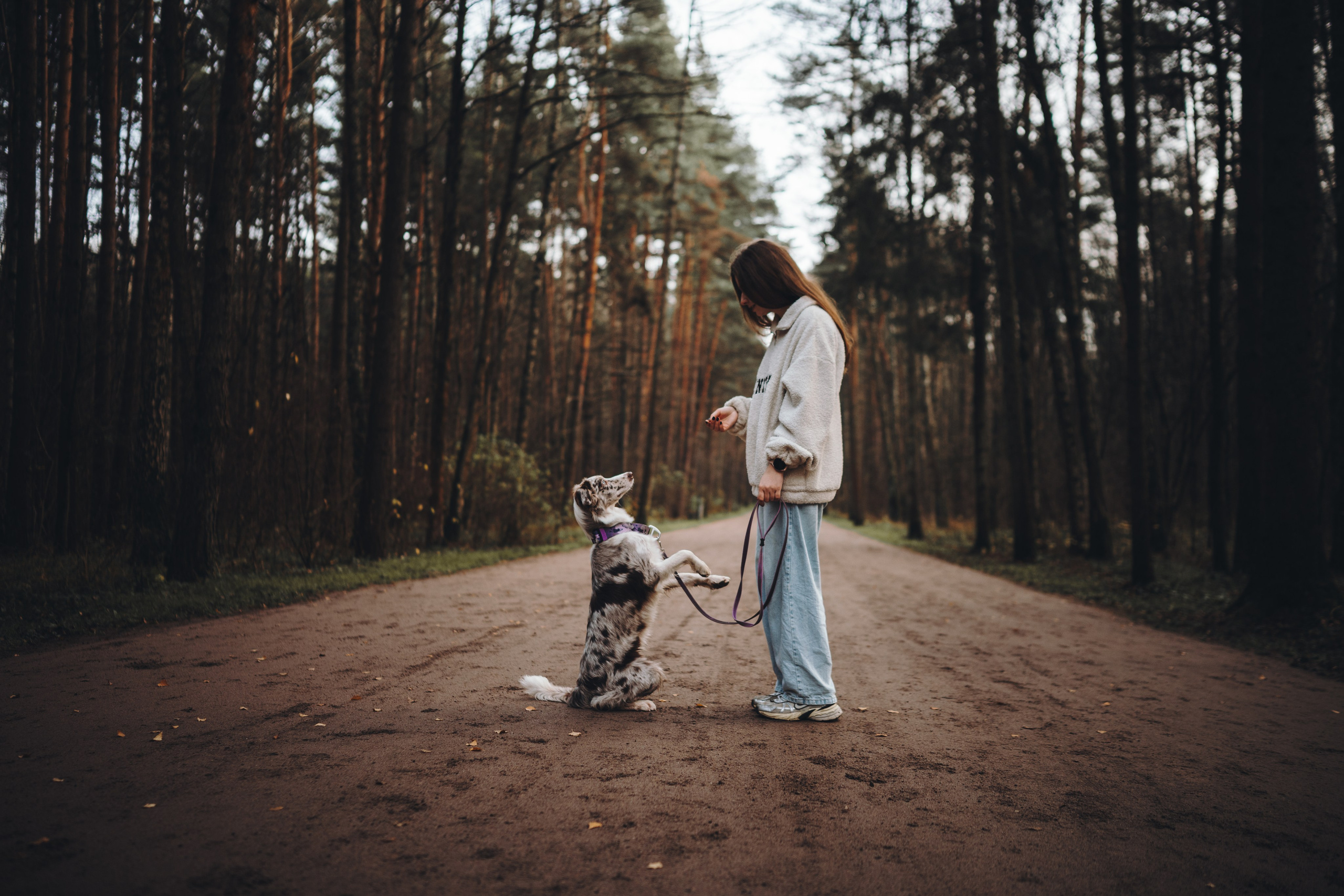 Настя, Максим, Орео и Норд. Семейный фотограф анималист Ананьева Мария — Москва