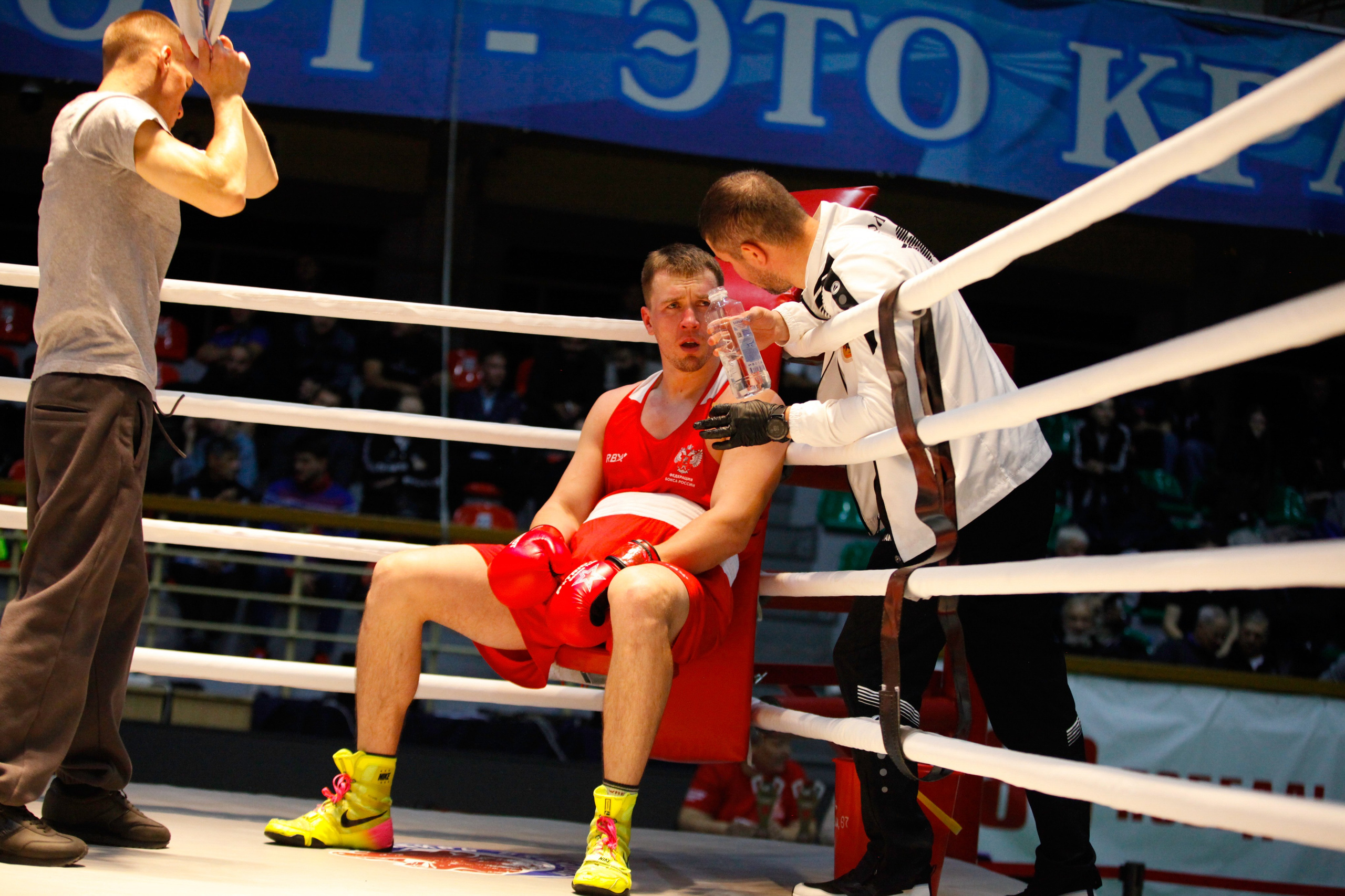 БОКС. Фото. Спортивный фотограф, трансляция, звук и свет в Новосибирске
