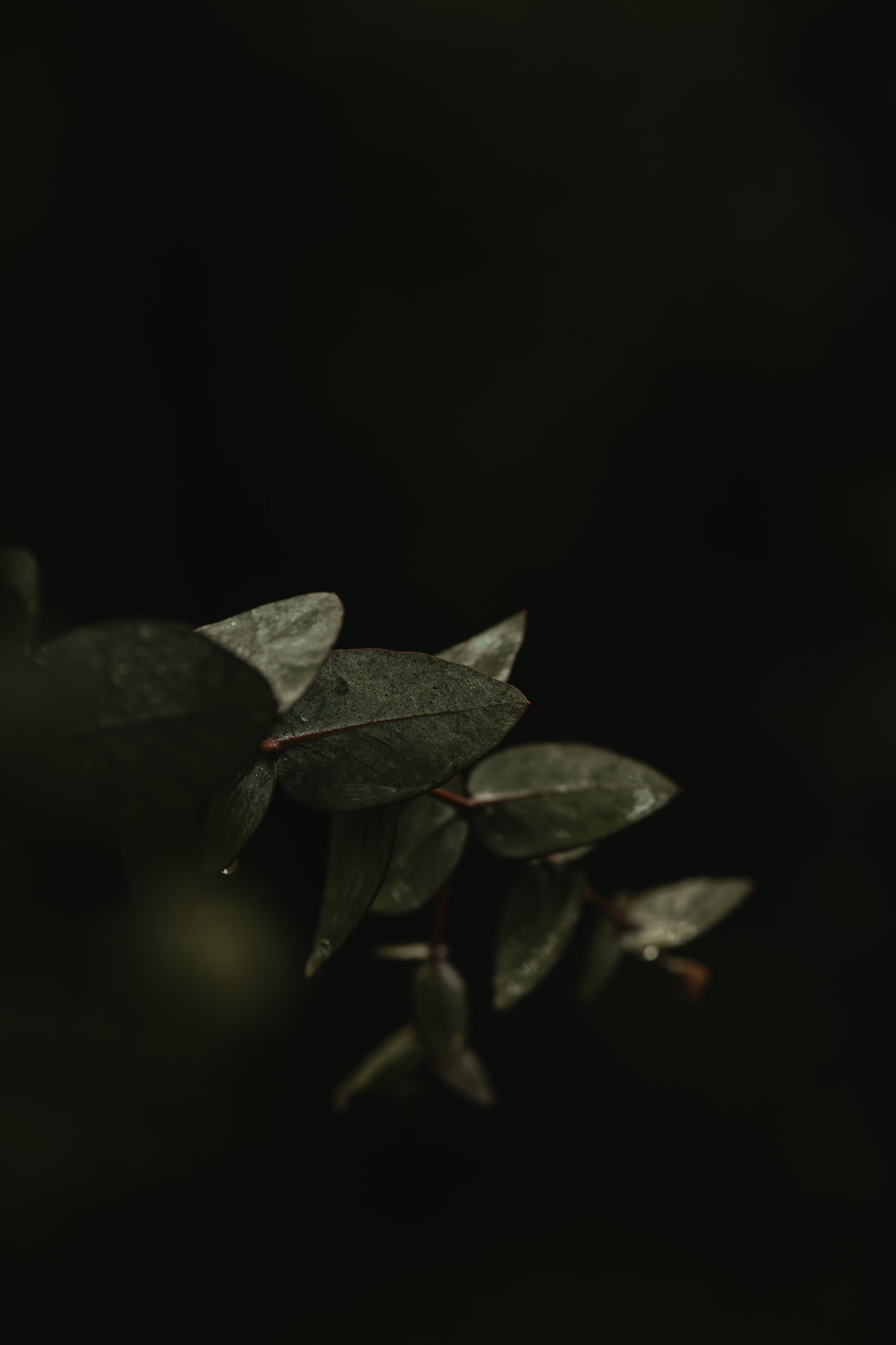 Свадьба под дождем. Свадебный и семейный фотограф Владивосток