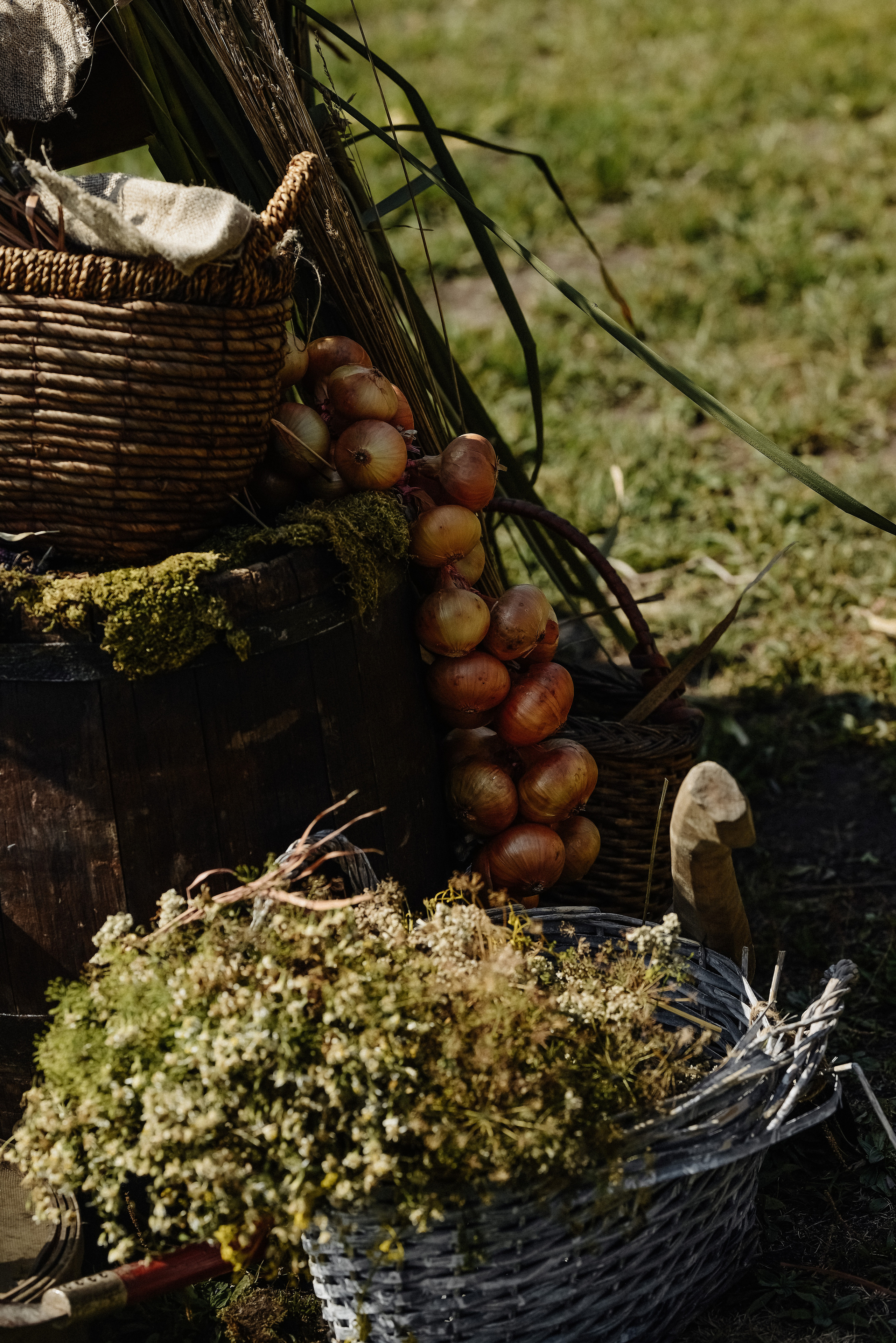 Свадьба в стиле «Викинги». Свадебный и семейный фотограф Владивосток