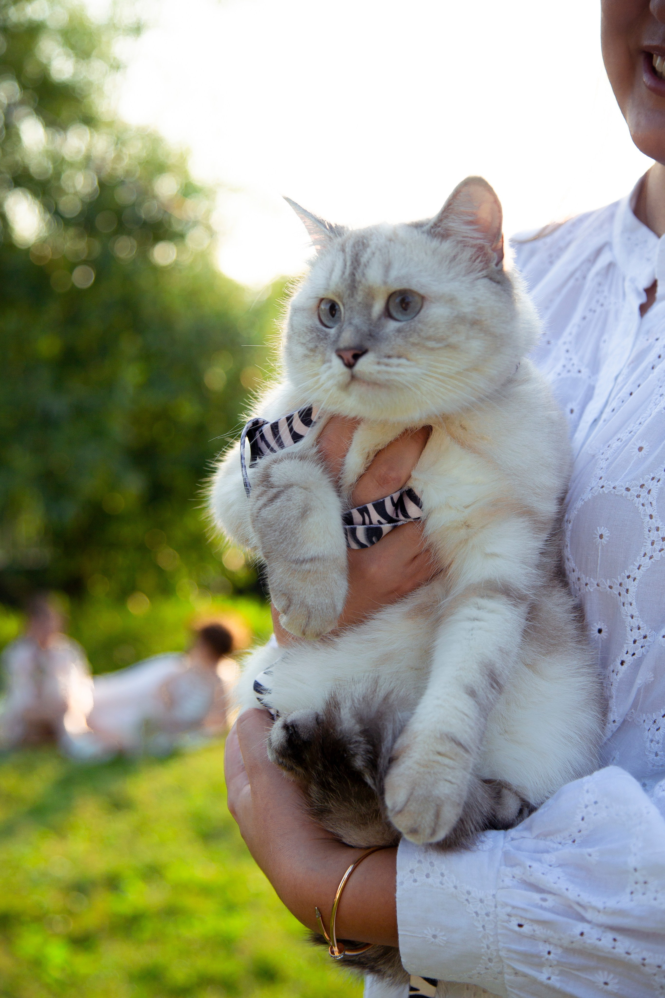 В моде тёплые коты. Репортажный и портретный фотограф Казань / Горячих Полина