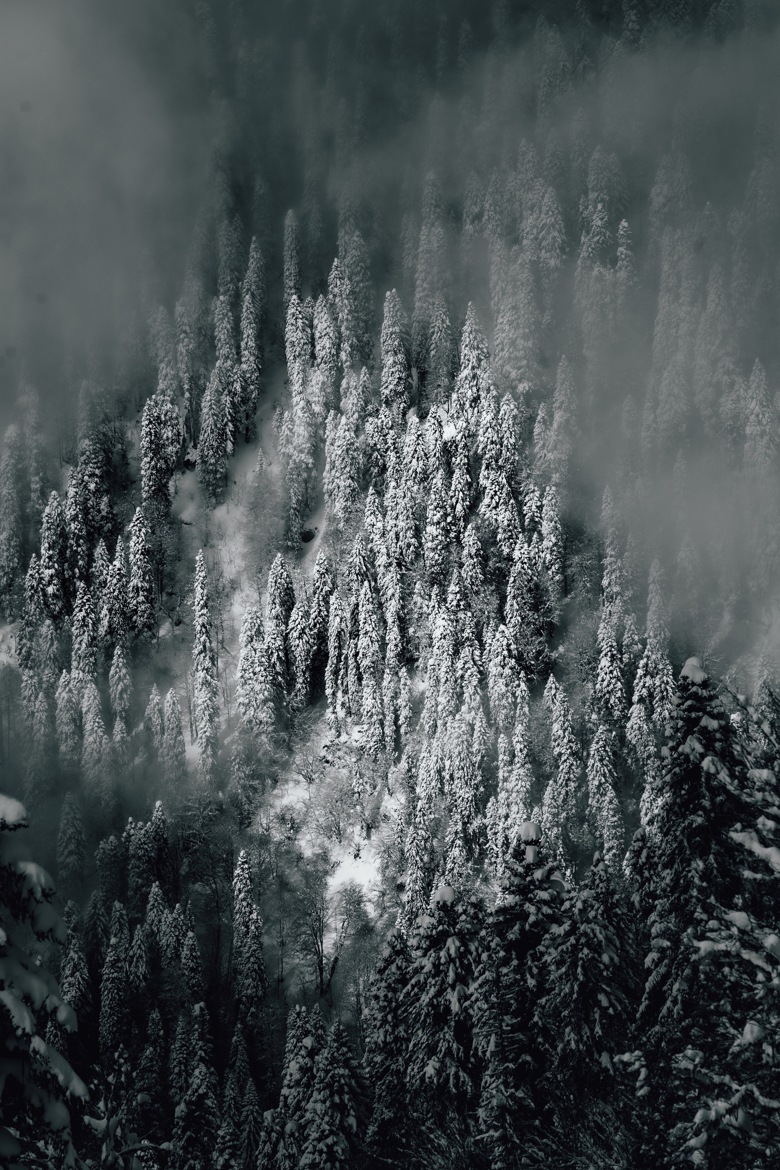 Путешествия и пейзаж. Репортажный фотограф в Красной Поляне и Сочи Павлюченко Екатерина