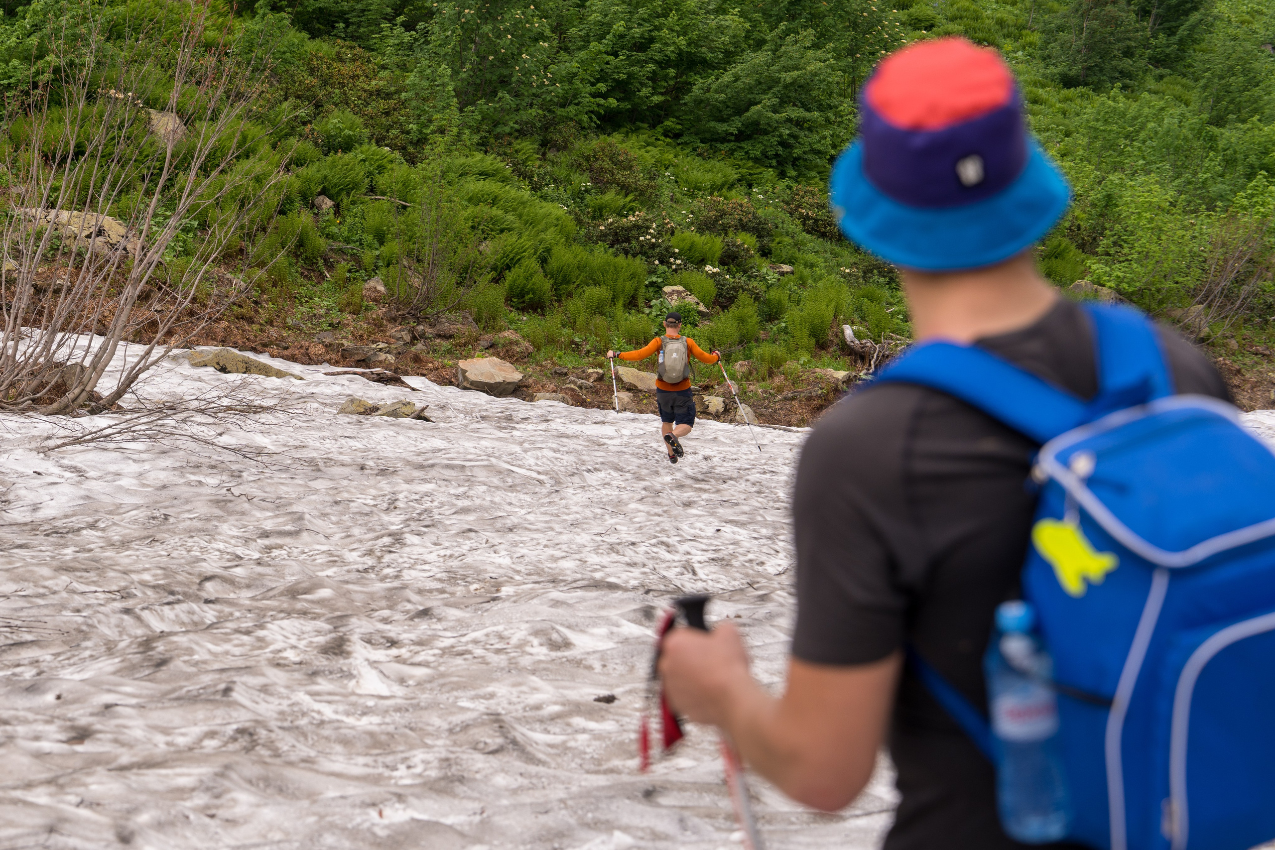 MICE мероприятие для компании «Доставка морем»: хайкинг к Ачипсинским водопадам. Репортажный фотограф в Красной Поляне и Сочи Павлюченко Екатерина