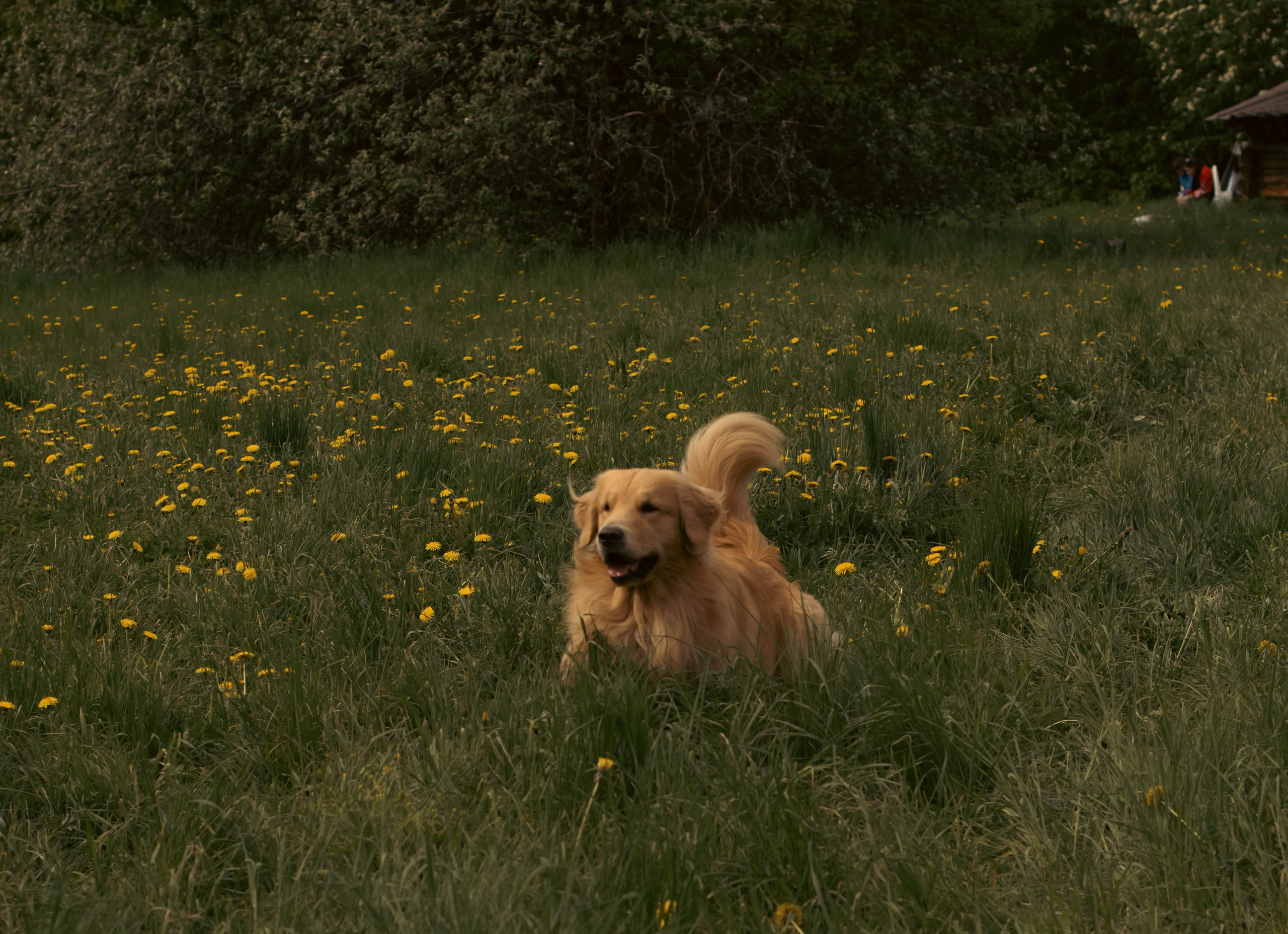 К/Ф «Надежда». Фотограф в Москве Ксюшенька