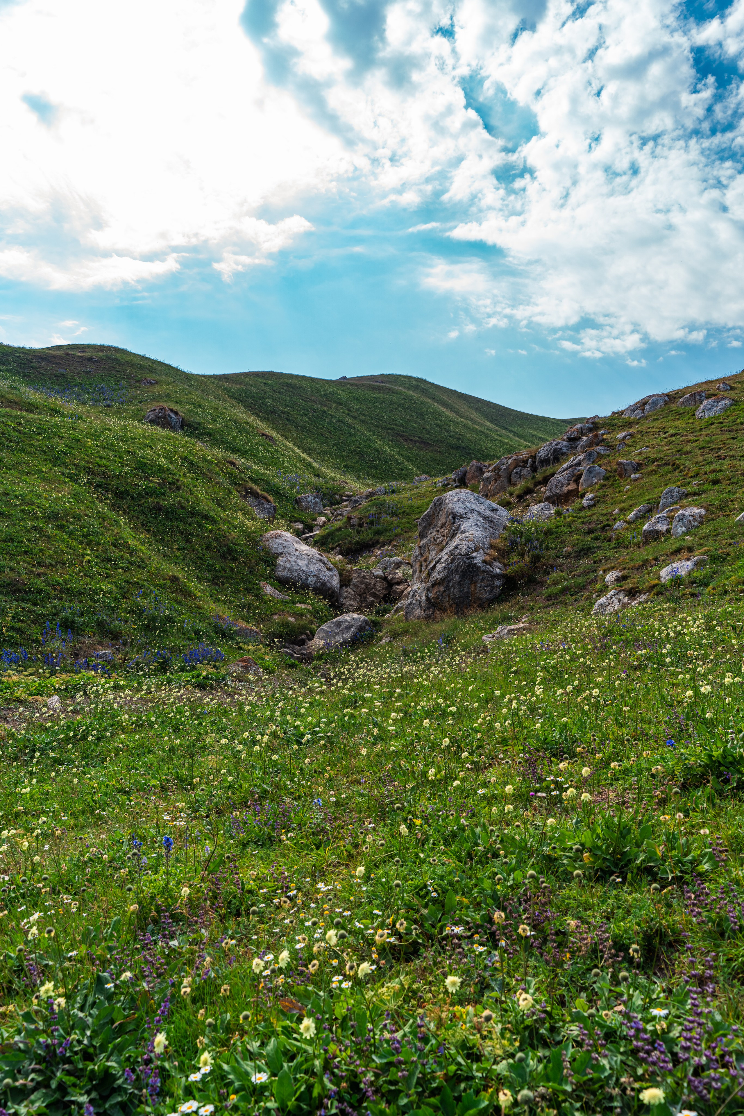 Дагестан. Фотограф в Москве. Шахабудин