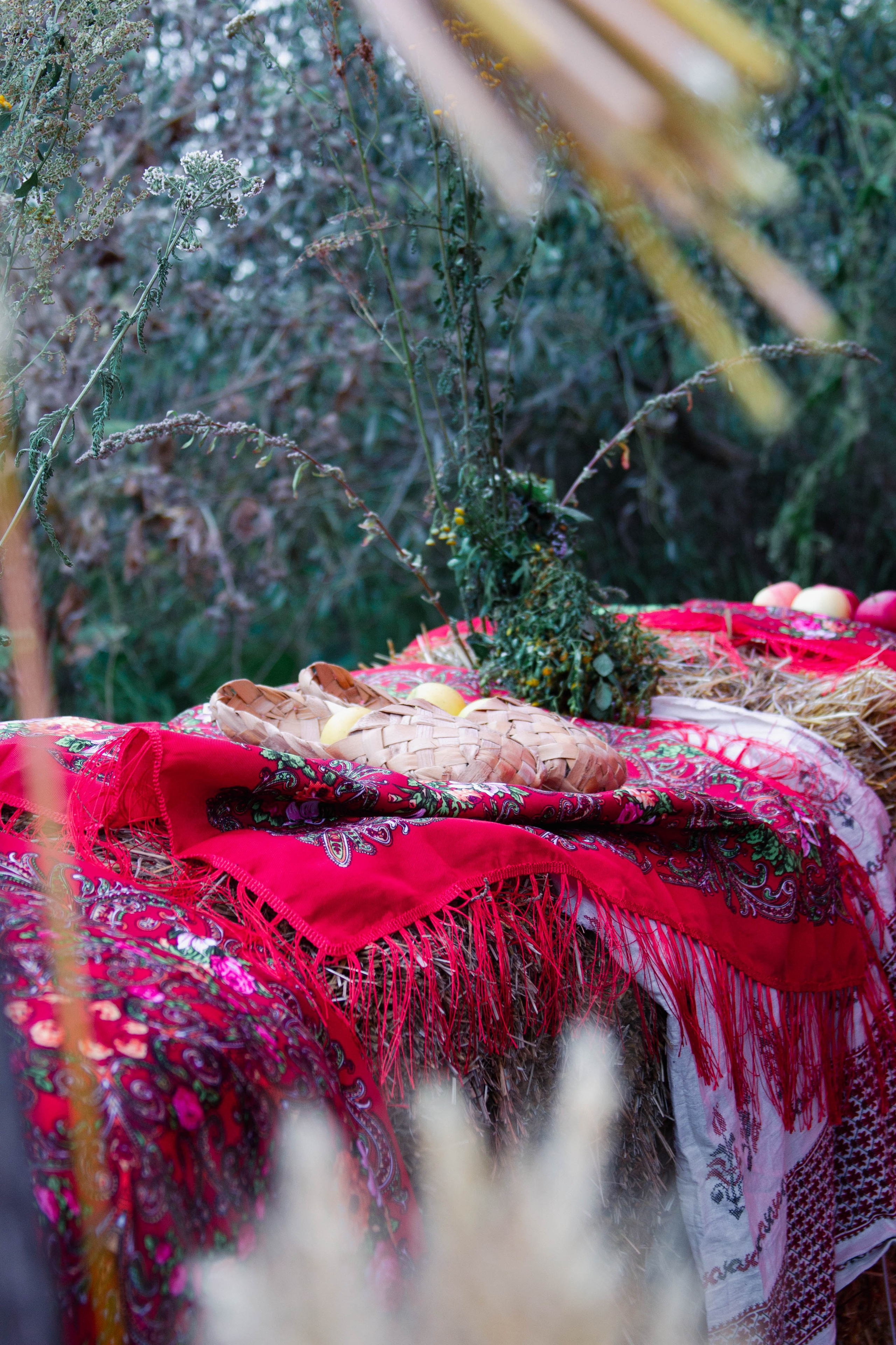 Жатва 2025. Фотограф Маша Корнеева