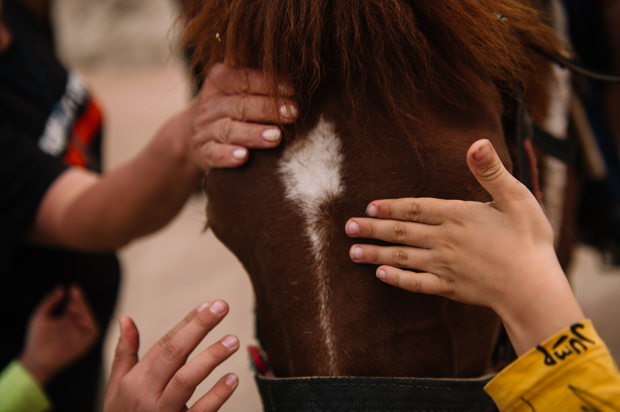 Киргизия. Репортажный фотограф в Москве и по всему миру Степанова Юлия