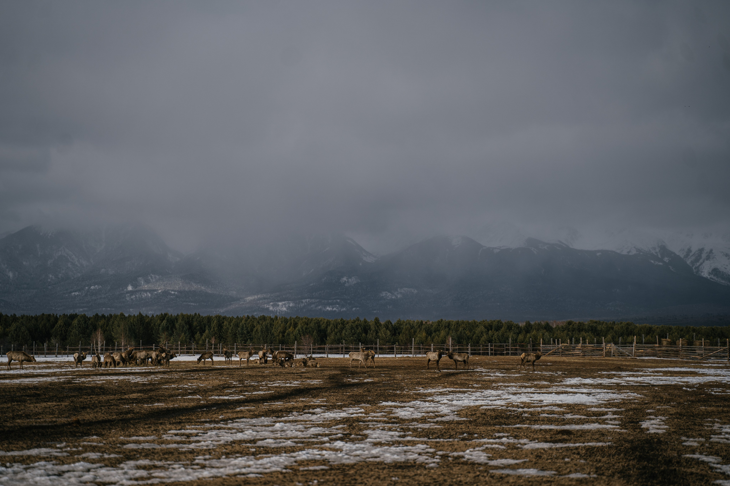 Бурятия, Аршан 2024. Фотограф Ольга Пучкова