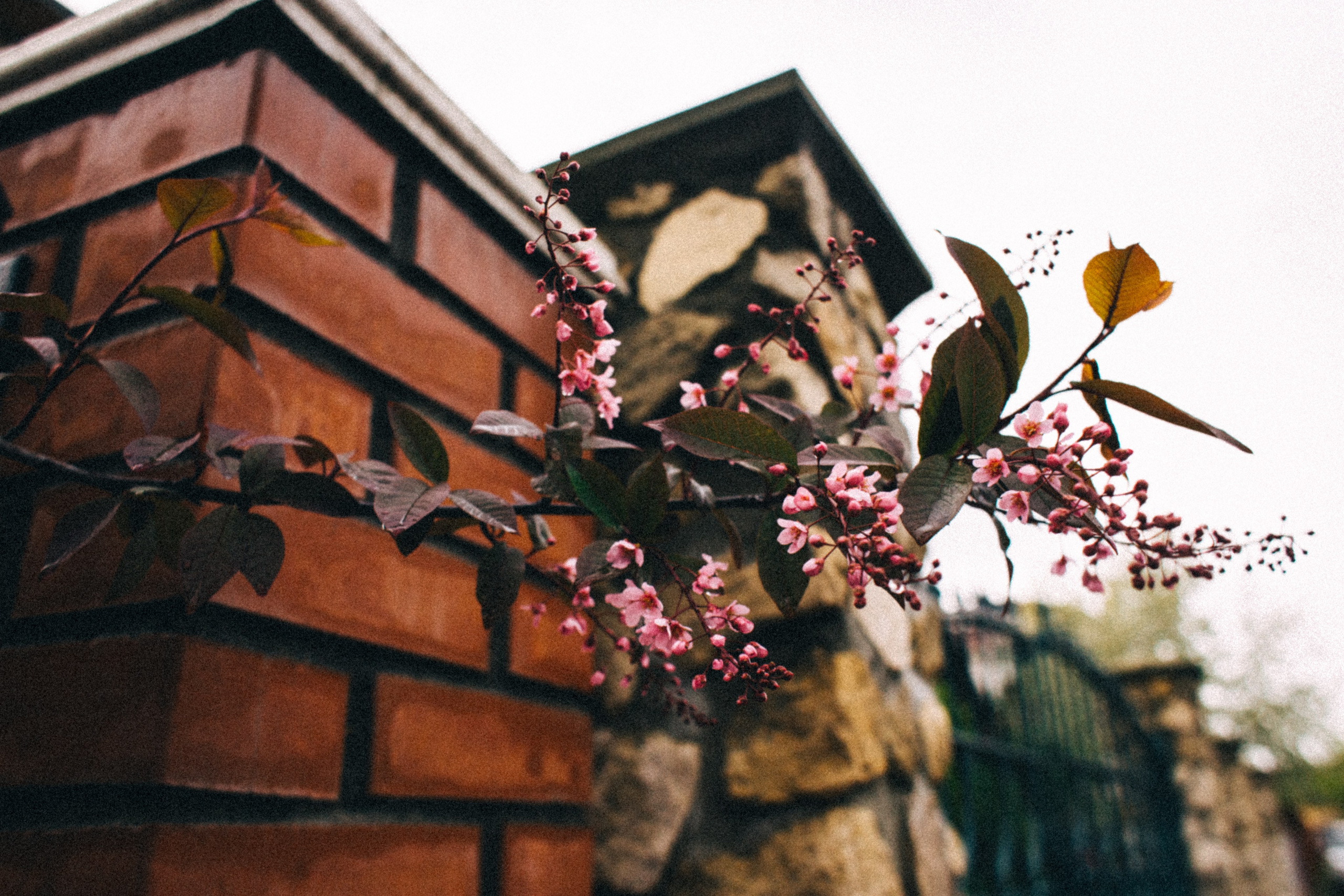 Москва- Рязань 2021. Фотограф в Нижнем Новгороде