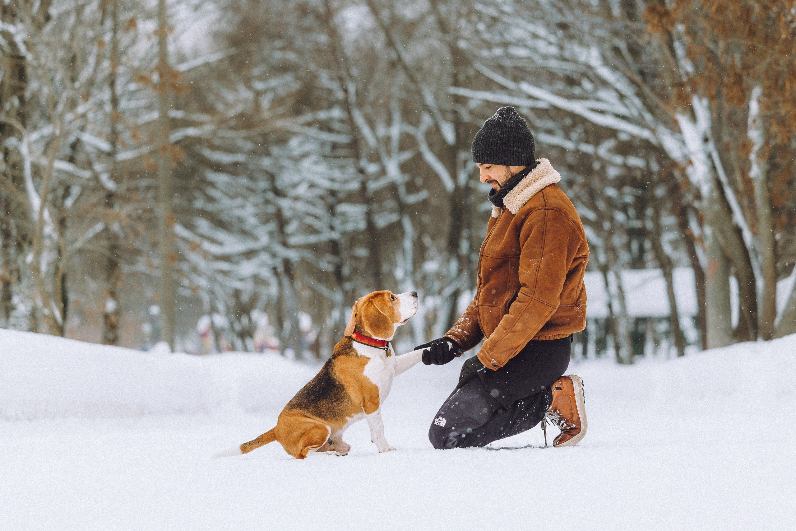 Роман, Портер и Коррес