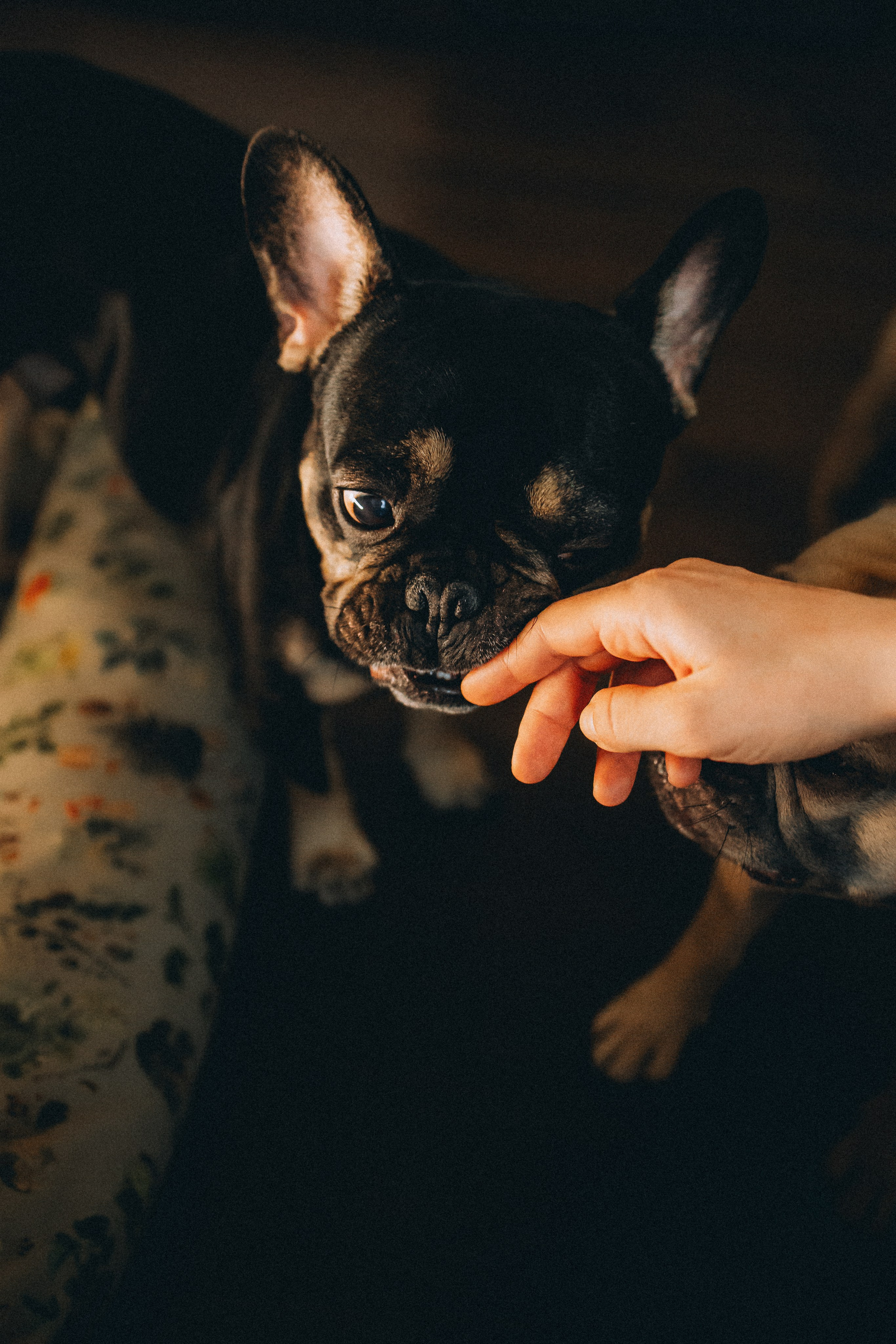 Юля, Мия и Зек