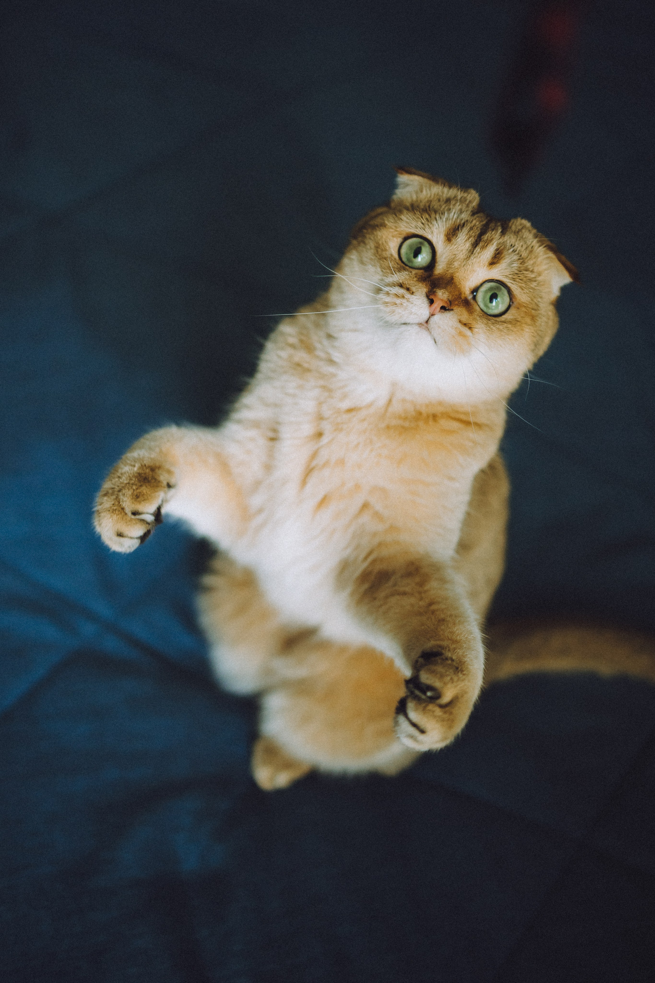 Генри и его семья