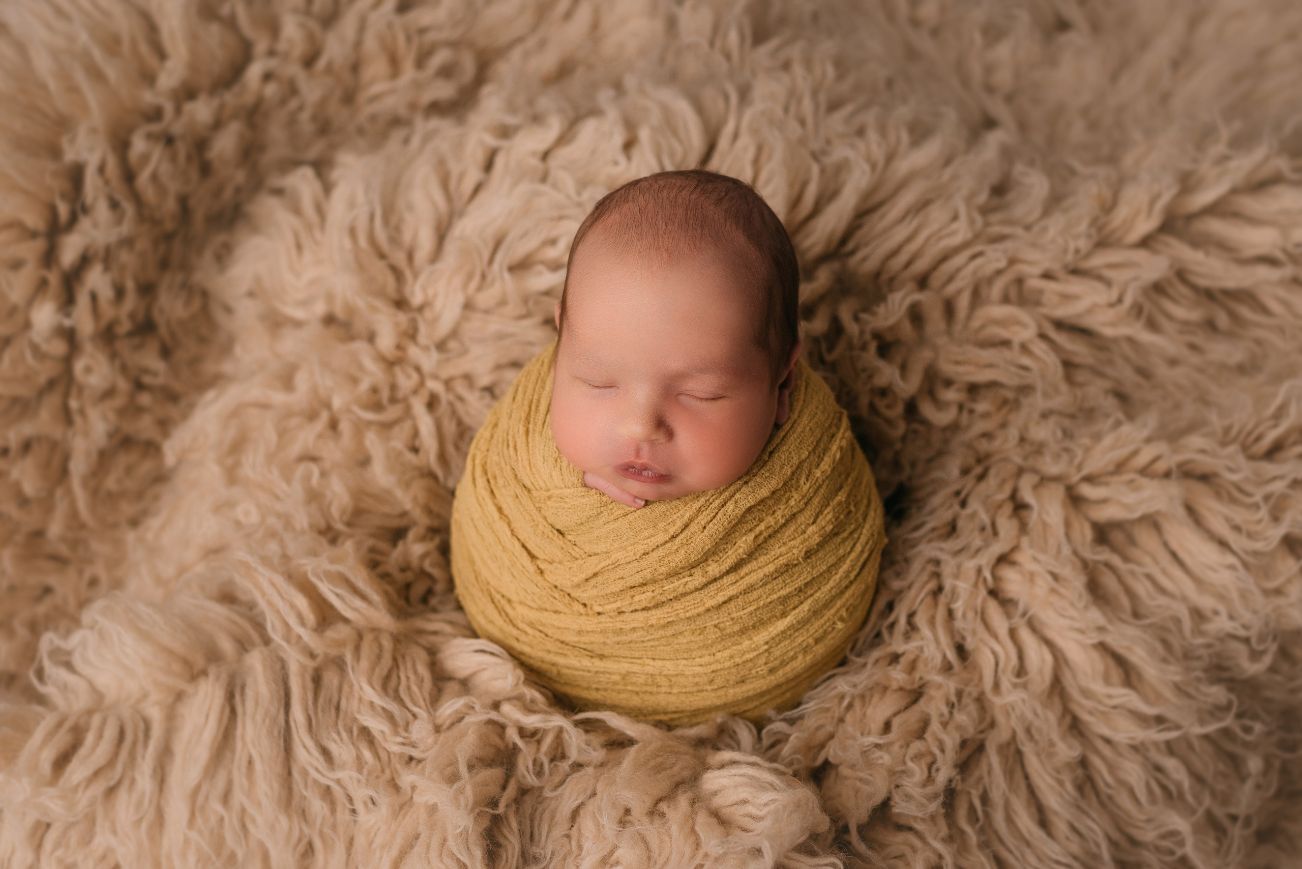 Лев. Фотограф новорожденных Белгород