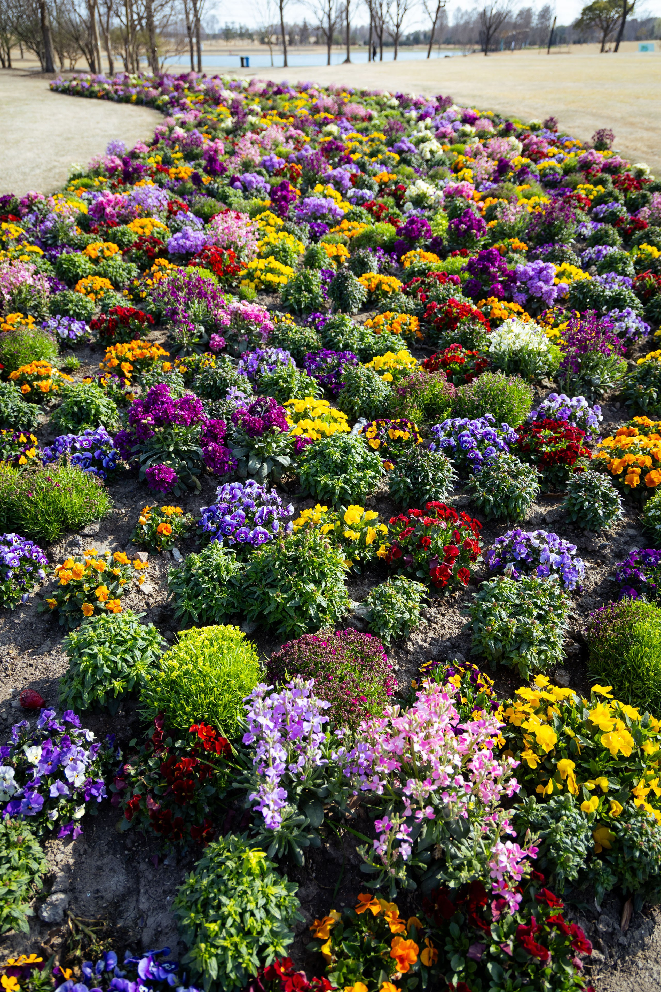 Шанхай (март 2026). Фотограф Виноградов Константин