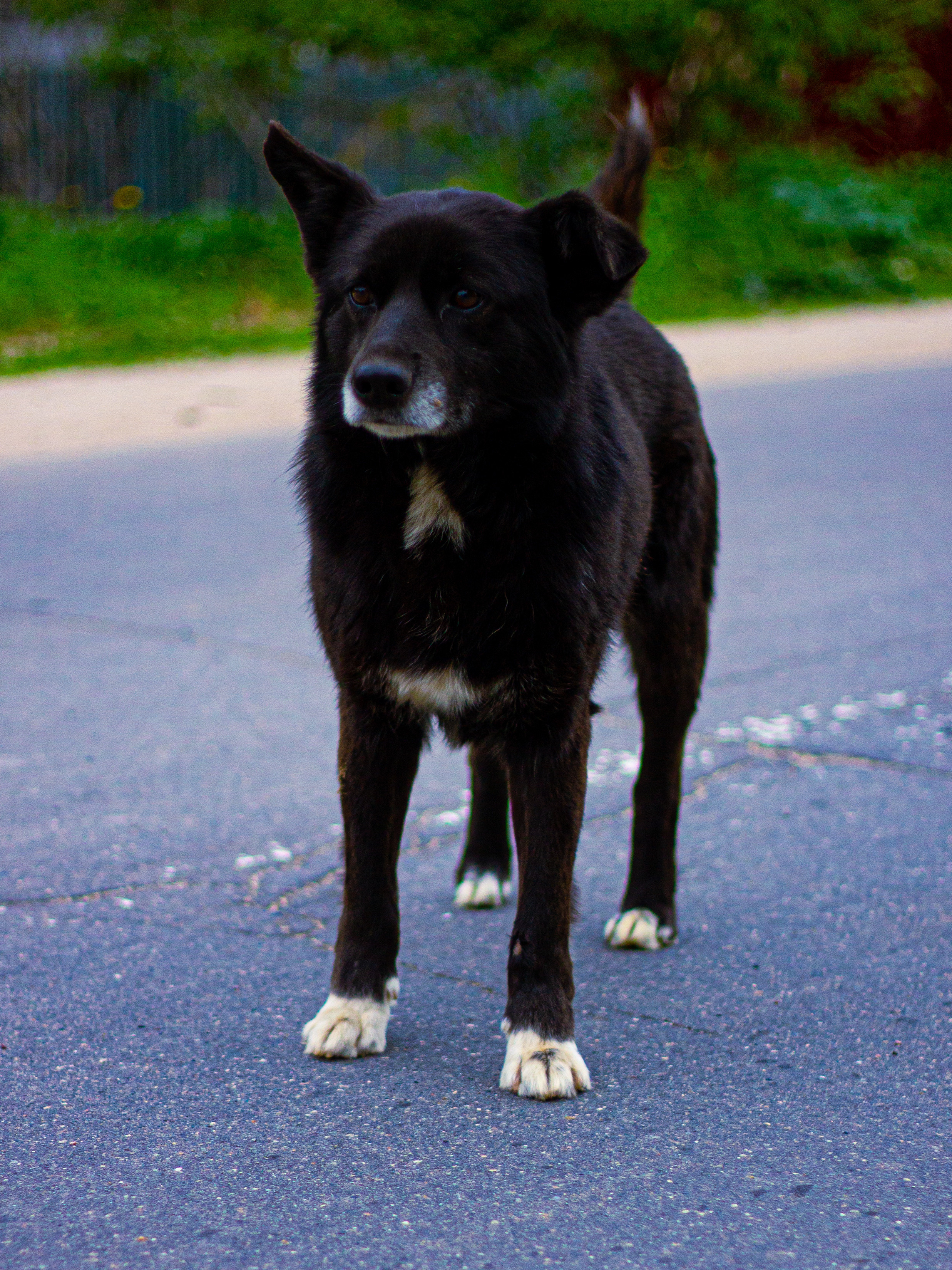 Село Петрилово. «Матрица»