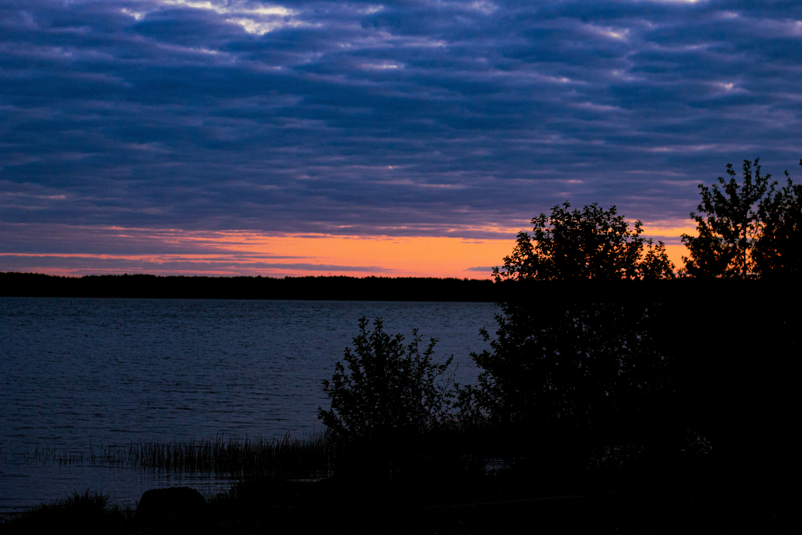 Село Петрилово. «Матрица»