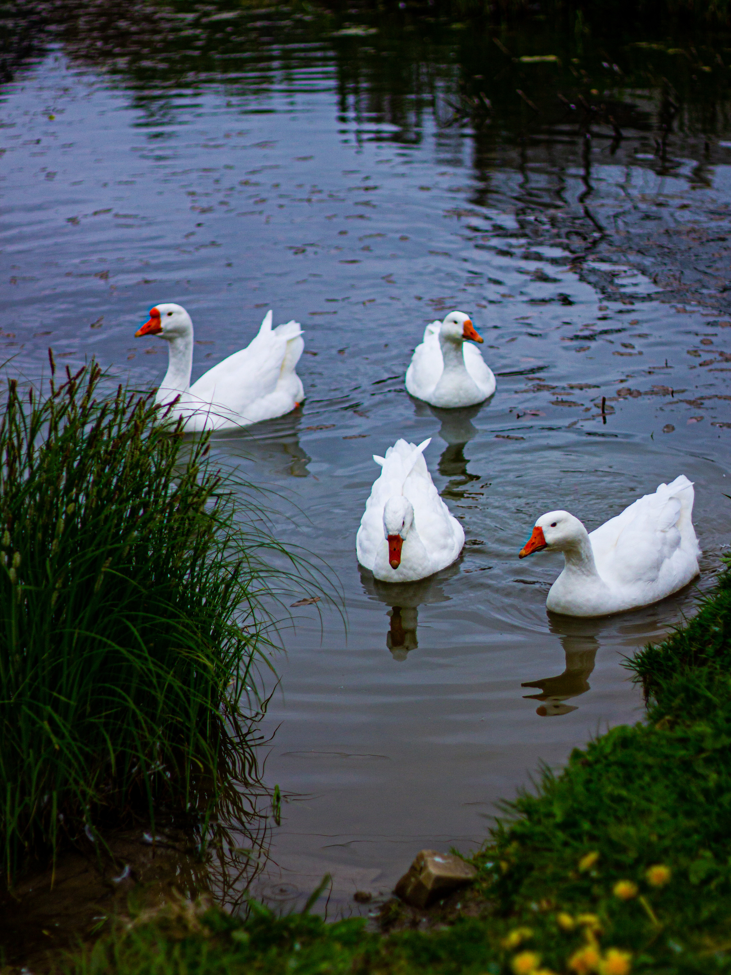 Село Петрилово. «Матрица»