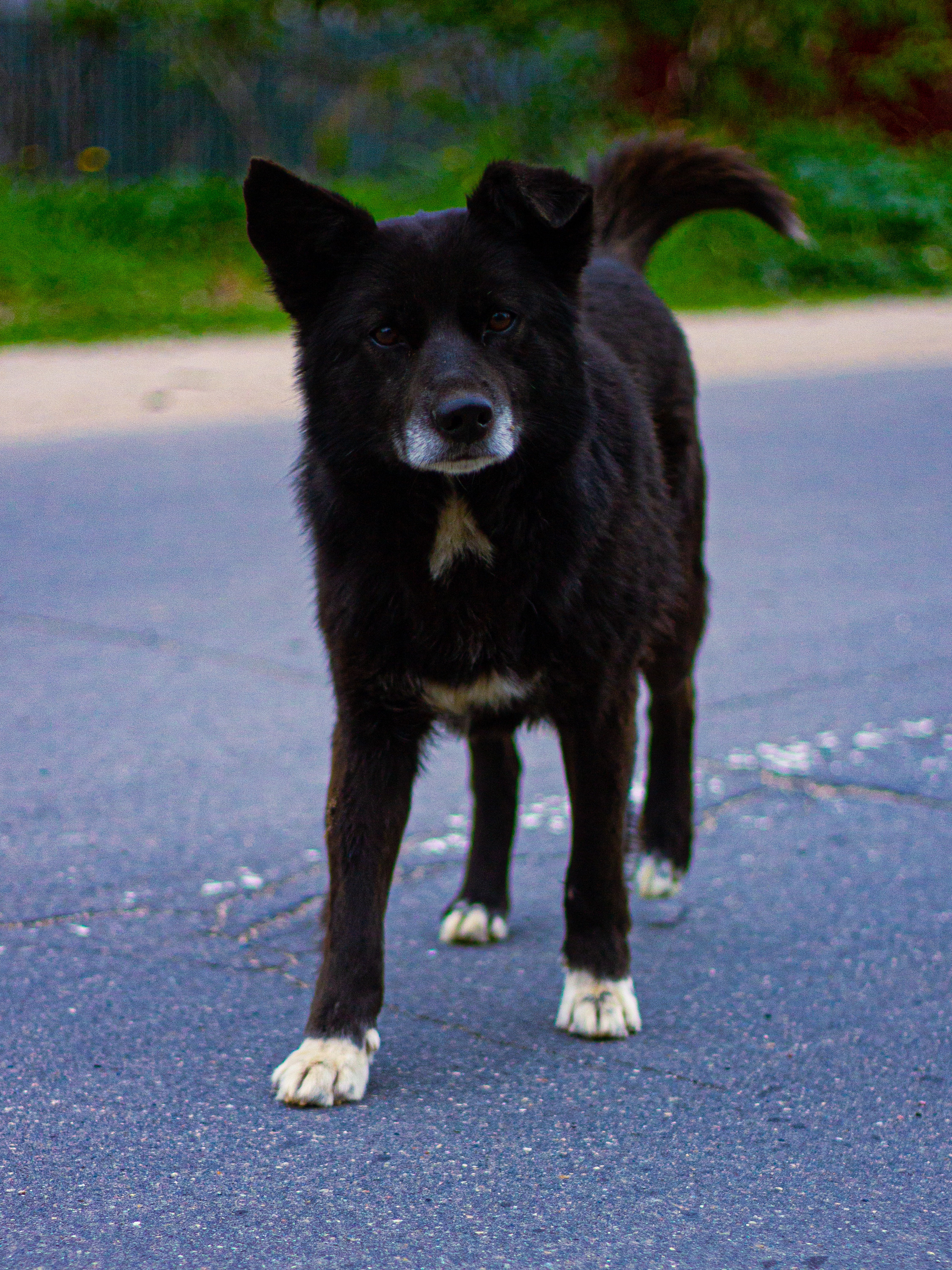 Село Петрилово. «Матрица»