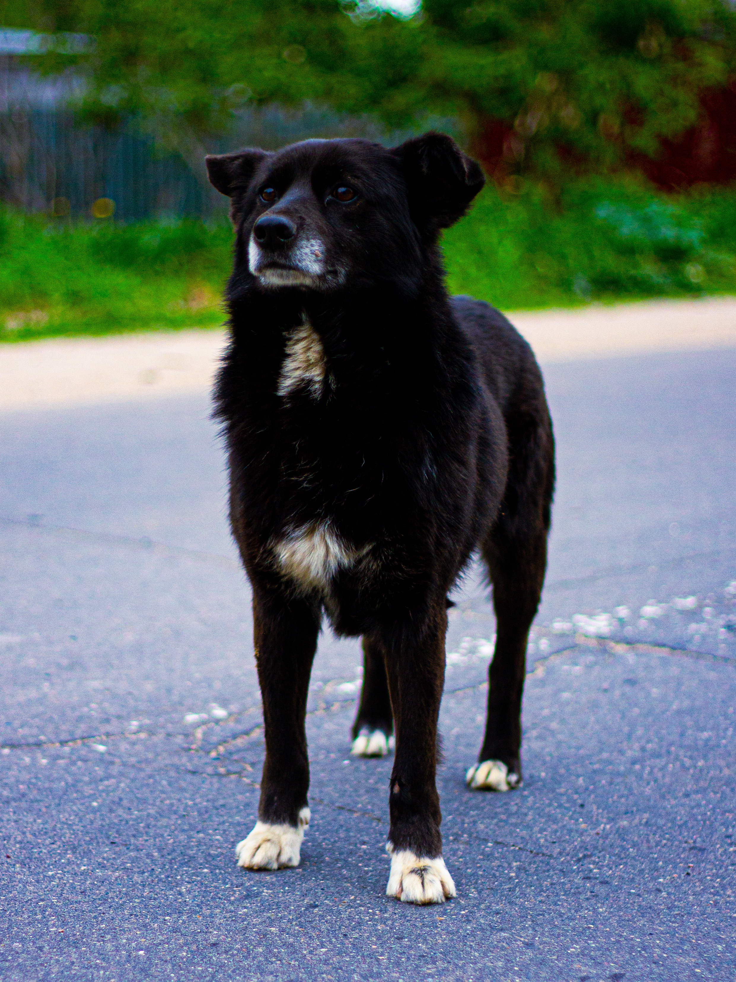 Село Петрилово. «Матрица»