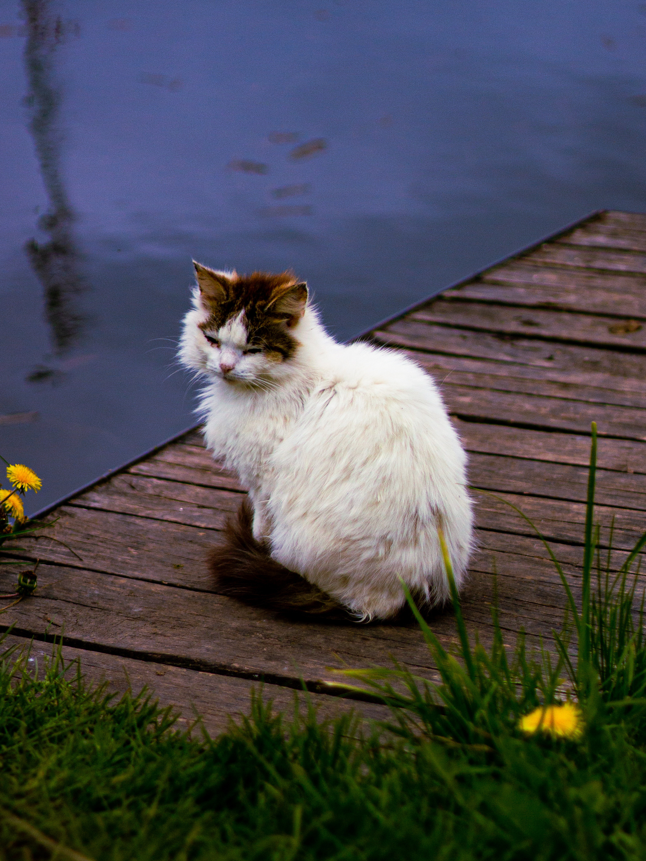 Село Петрилово. «Матрица»