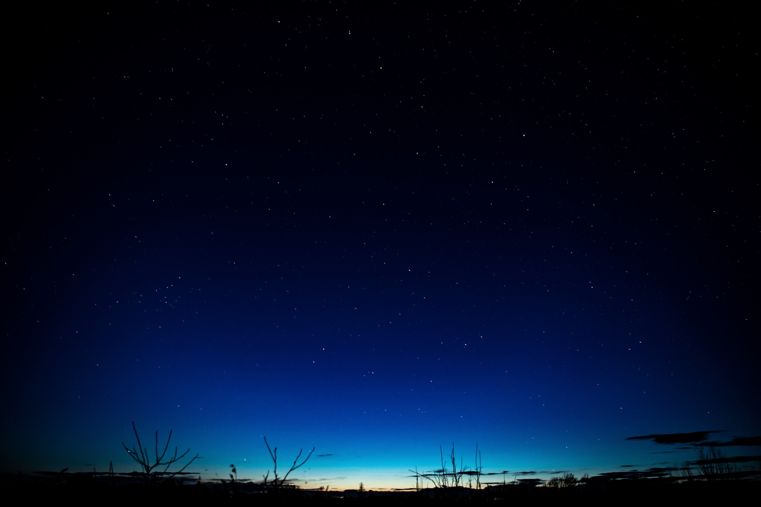 Природа Хабаровского края. Команда фотографов Кристины Ивановой