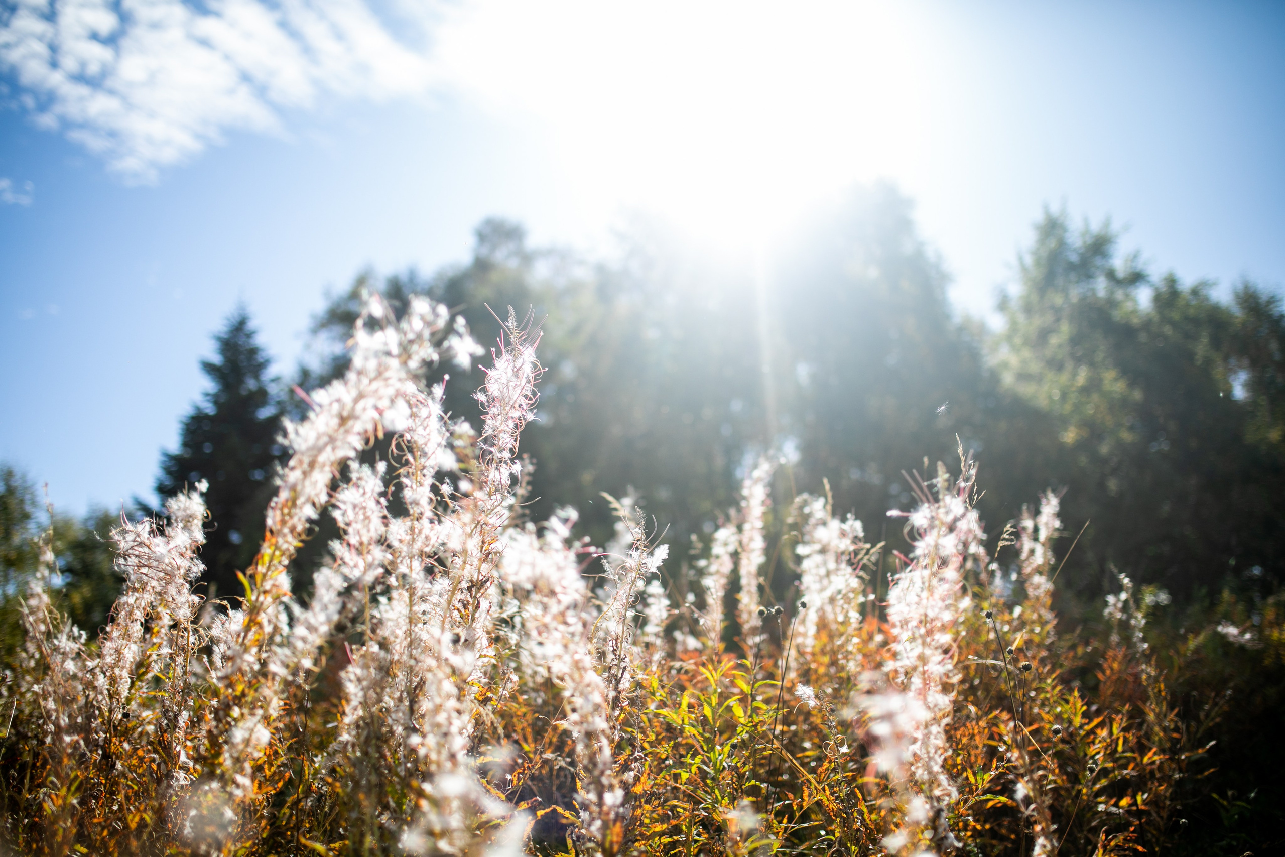 Большой Тхач. Тревел-фотограф Олег Гуров