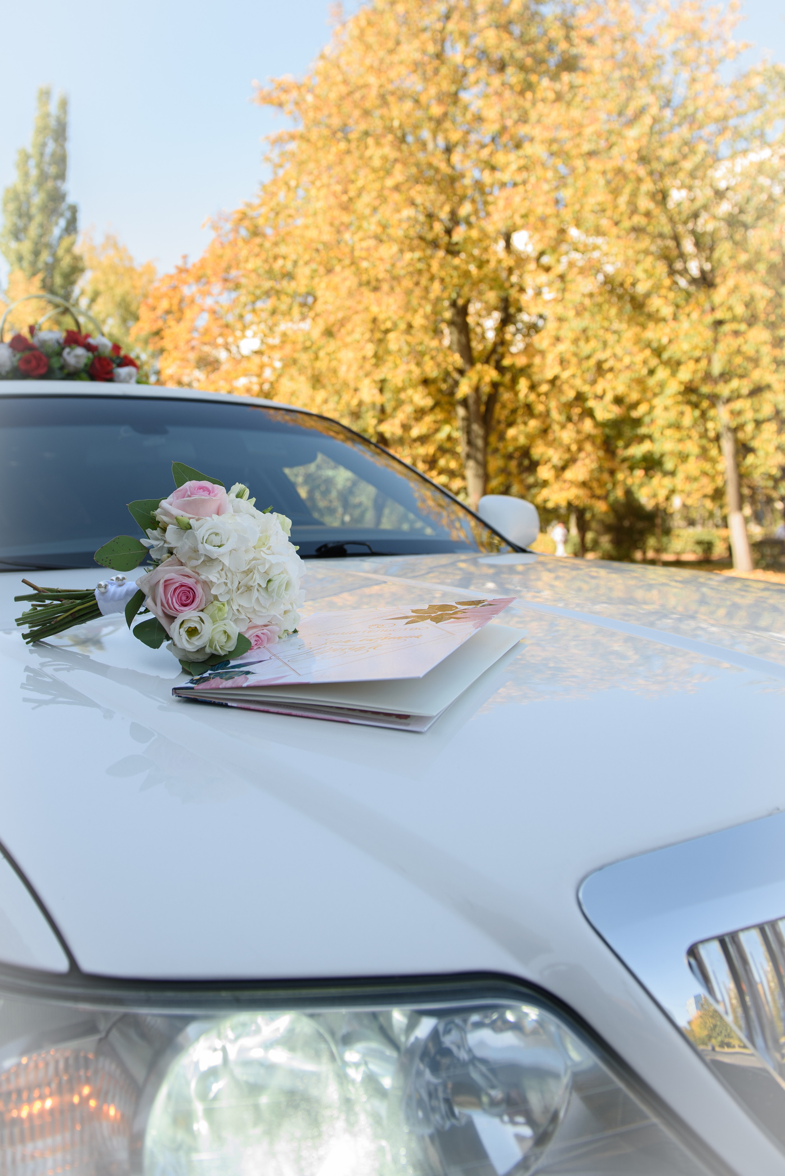 Свадьба. Анна Боровикова, фотограф Пушкино