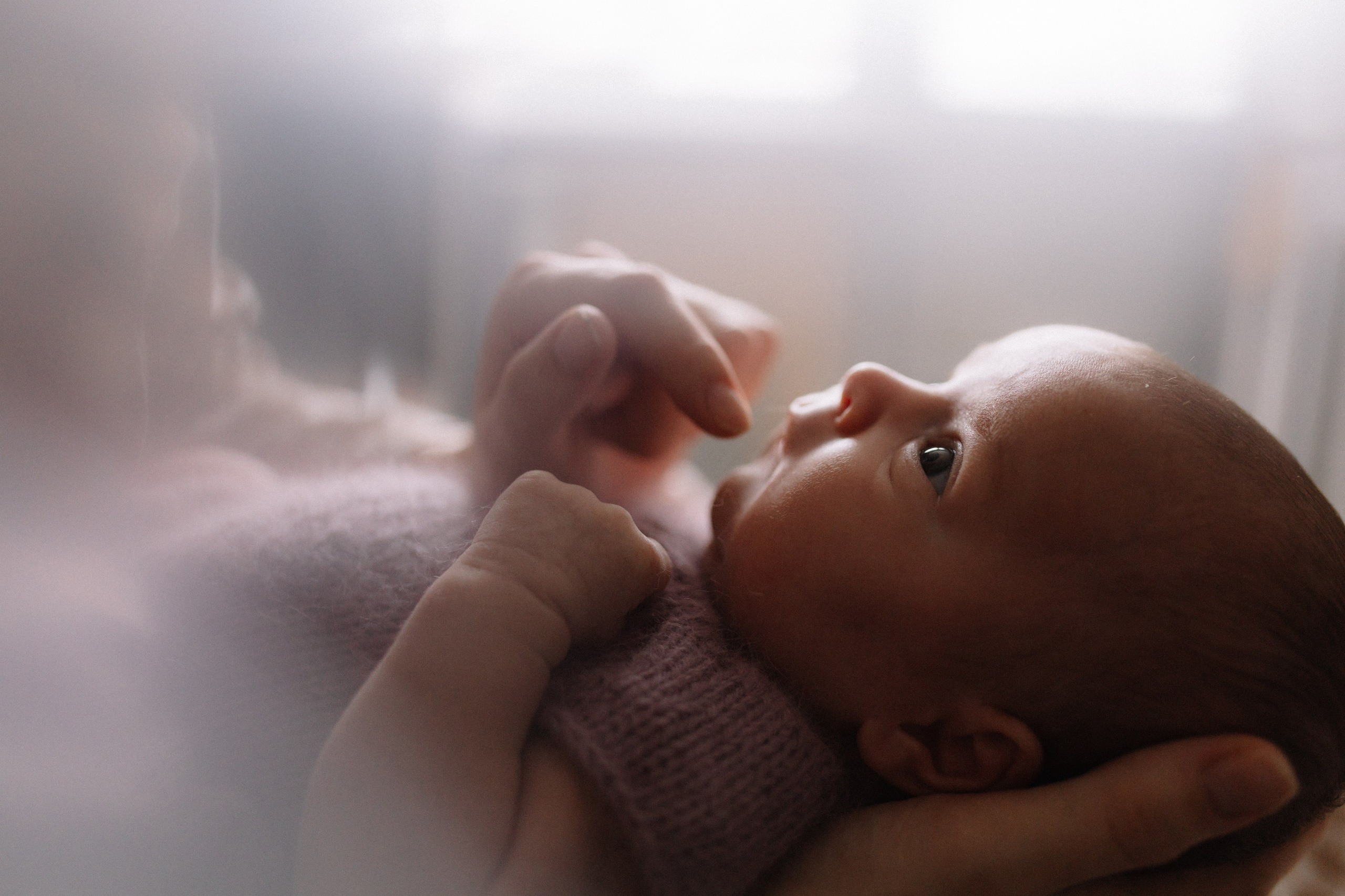 Василиса. Семейный фотограф в Москве и Люберцах Юлия Гуськова