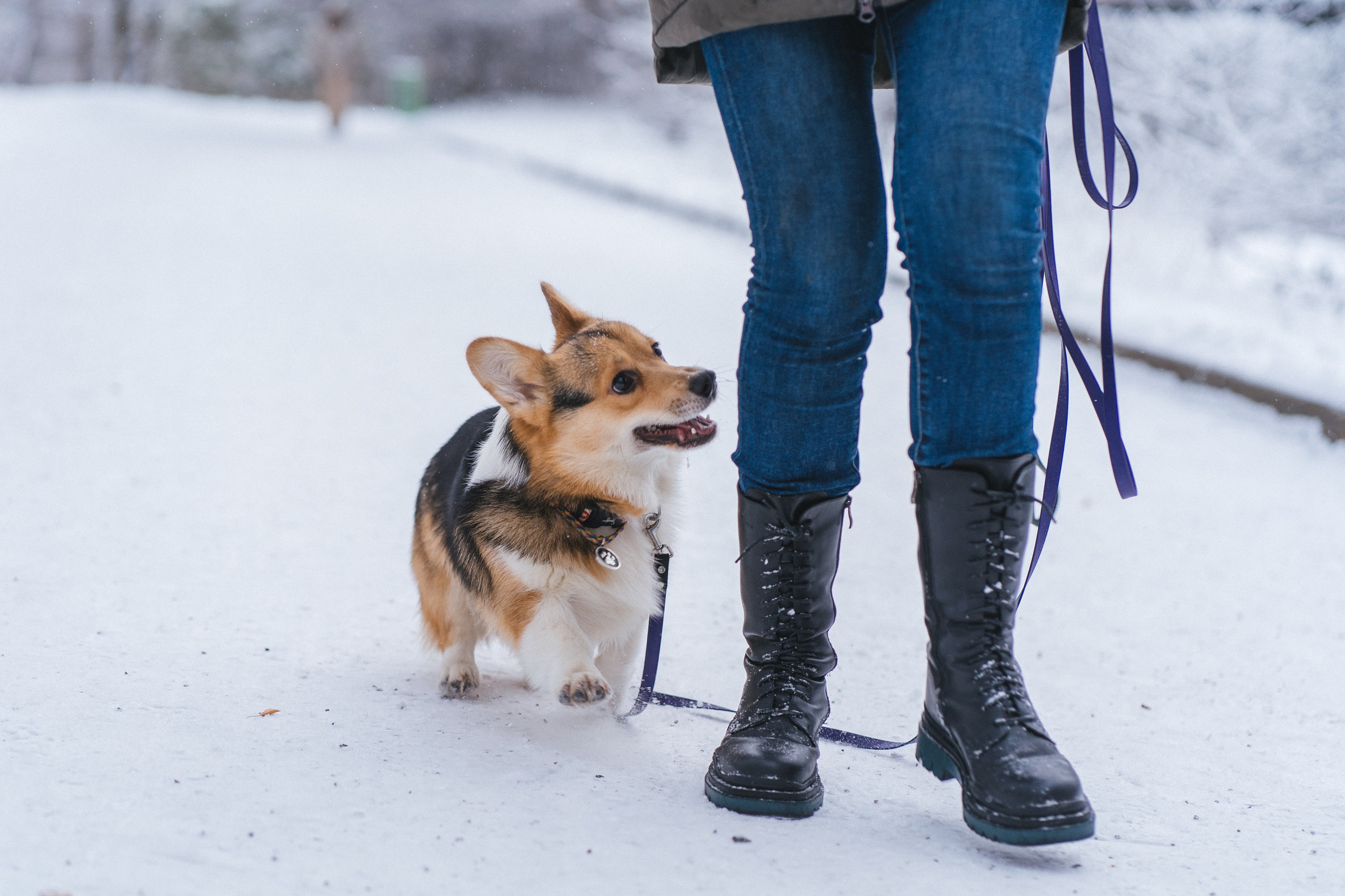 Каспер и Полина. Свадебный фотограф в Москве Анна Полушина