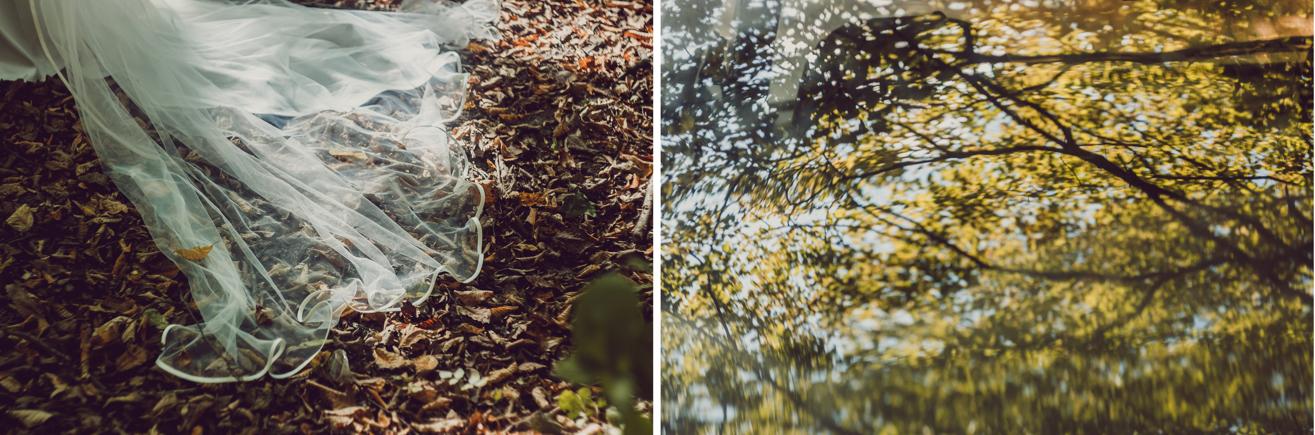 Вячеслав и Алена. Свадебный фотограф в Москве