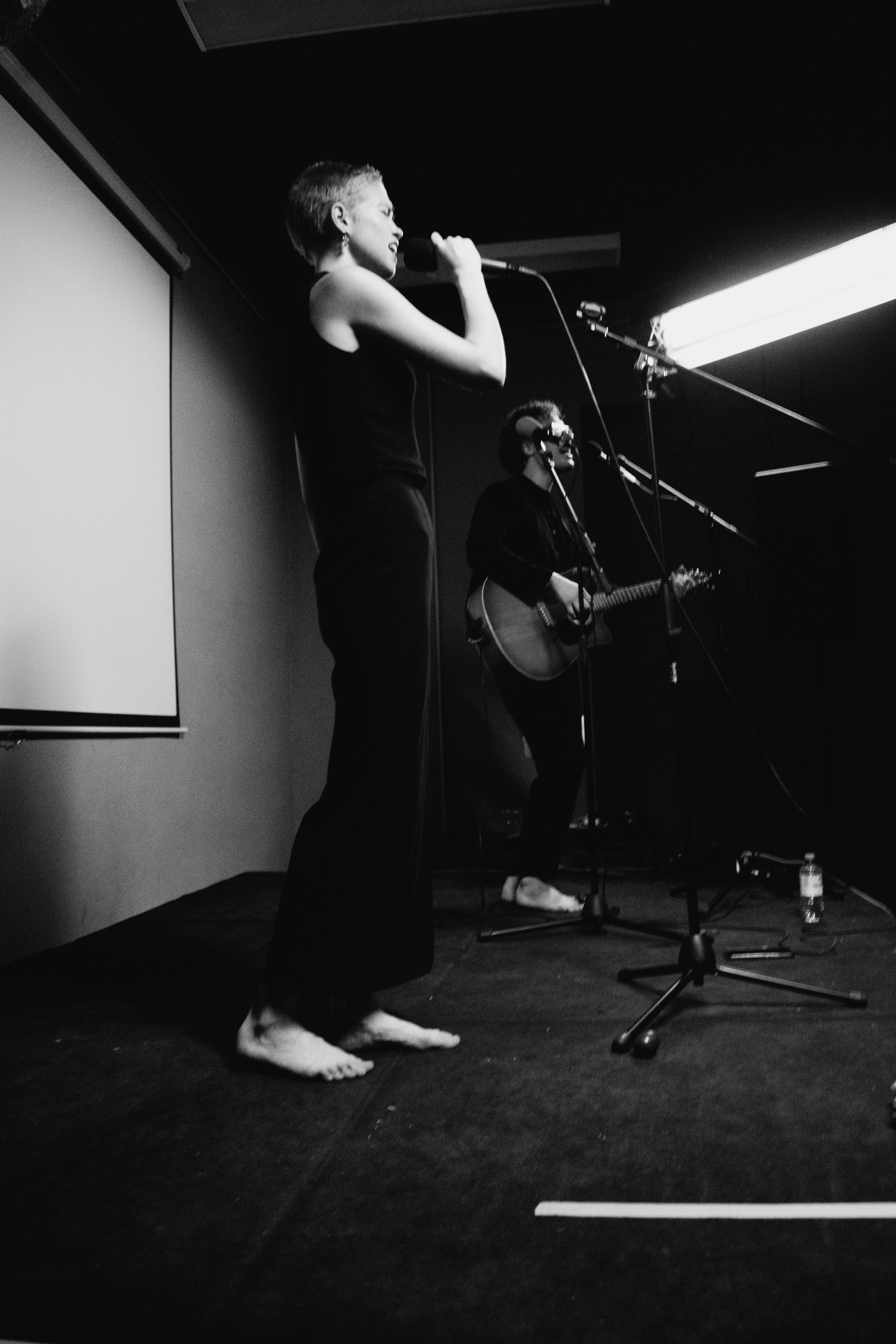 Концерт Гόголем