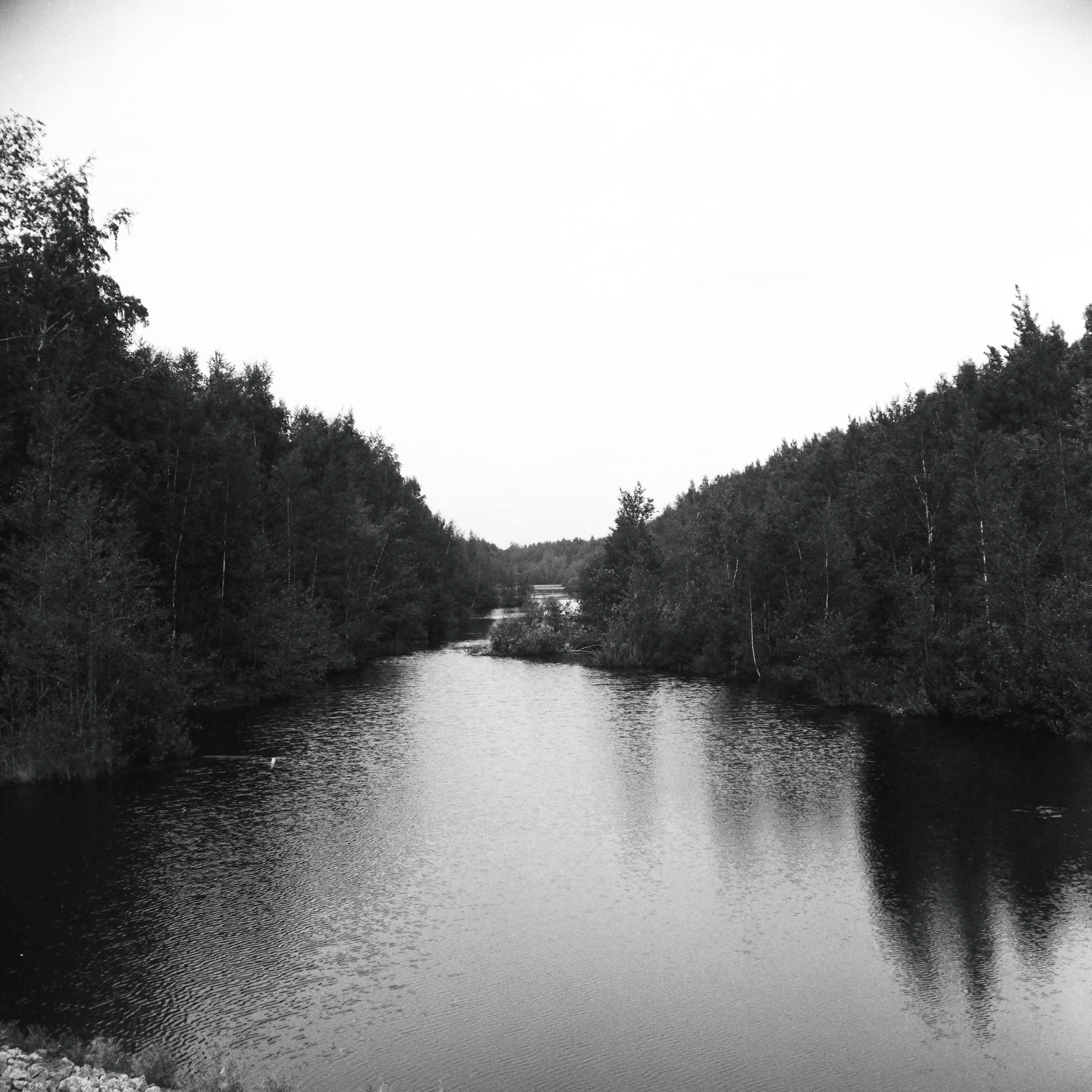 Даниил Петрий