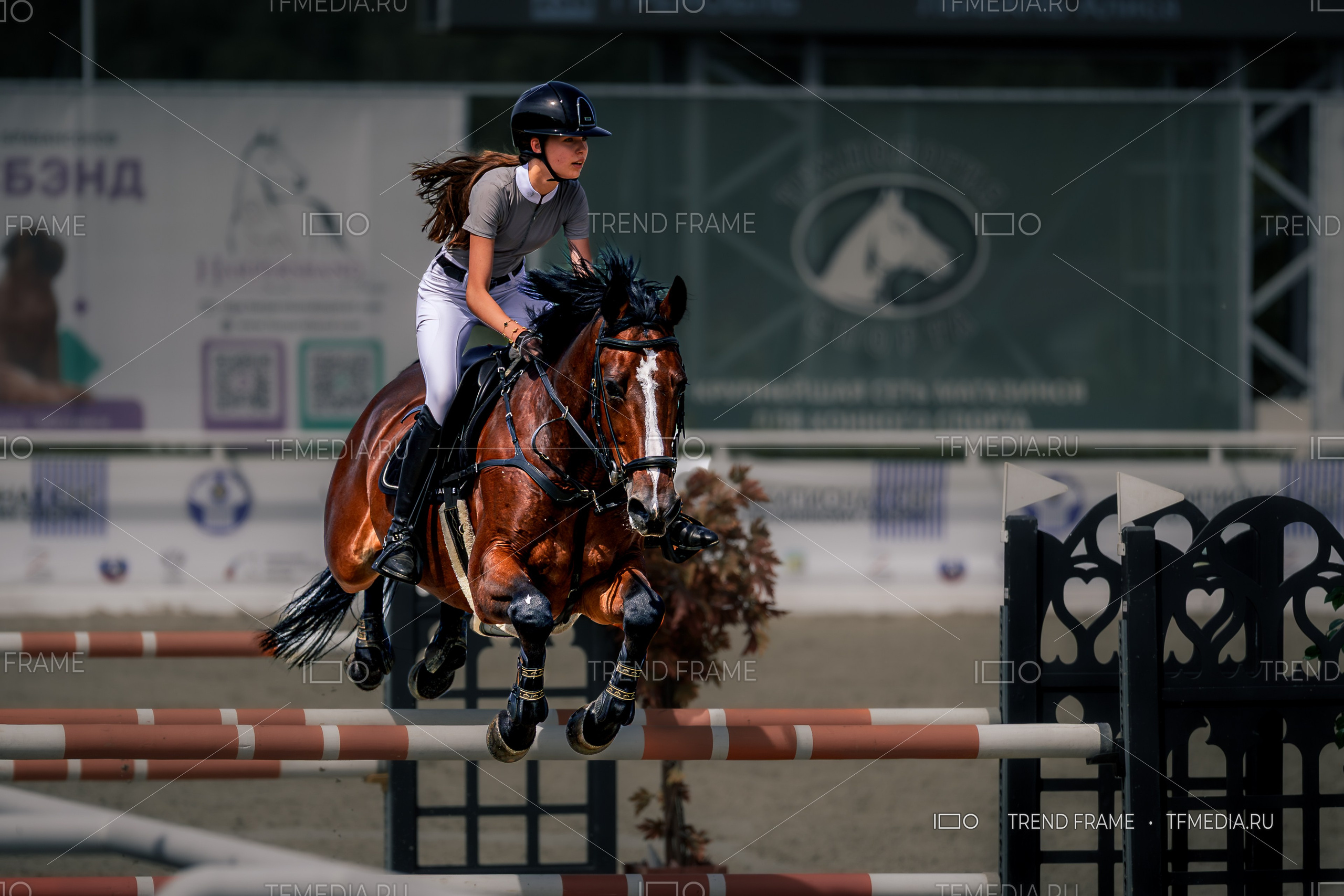 Конкур — прыжок лошади через барьер, премиальная фотосъёмка TrendFrame. красивые лошади, фото конного спорта