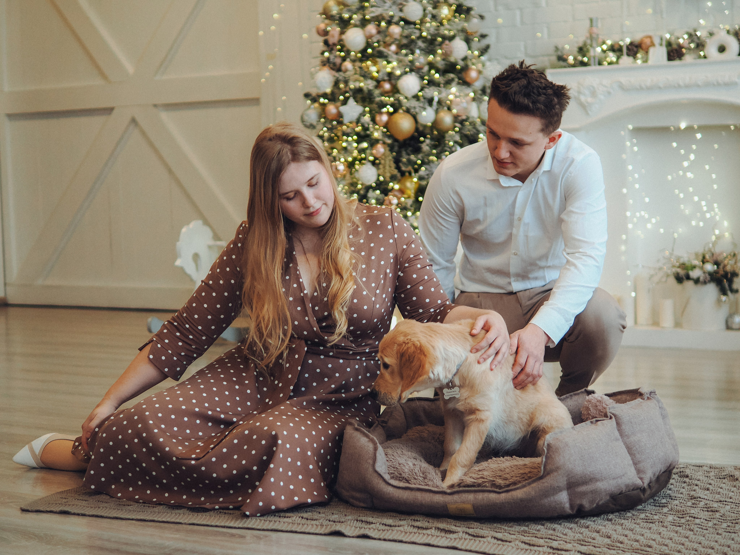 Малышка Молли и новый год. Фотограф в Москве — Сергей Люкшинов