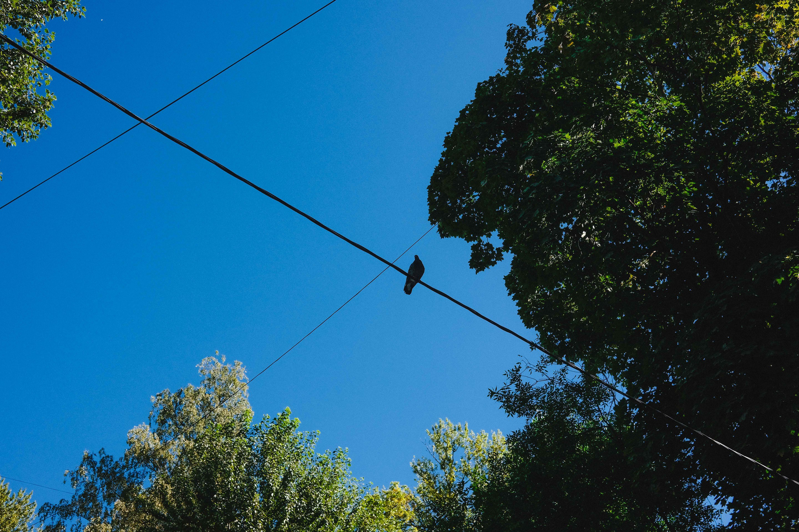 2023.08. Фотограф Алексей Алексеев
