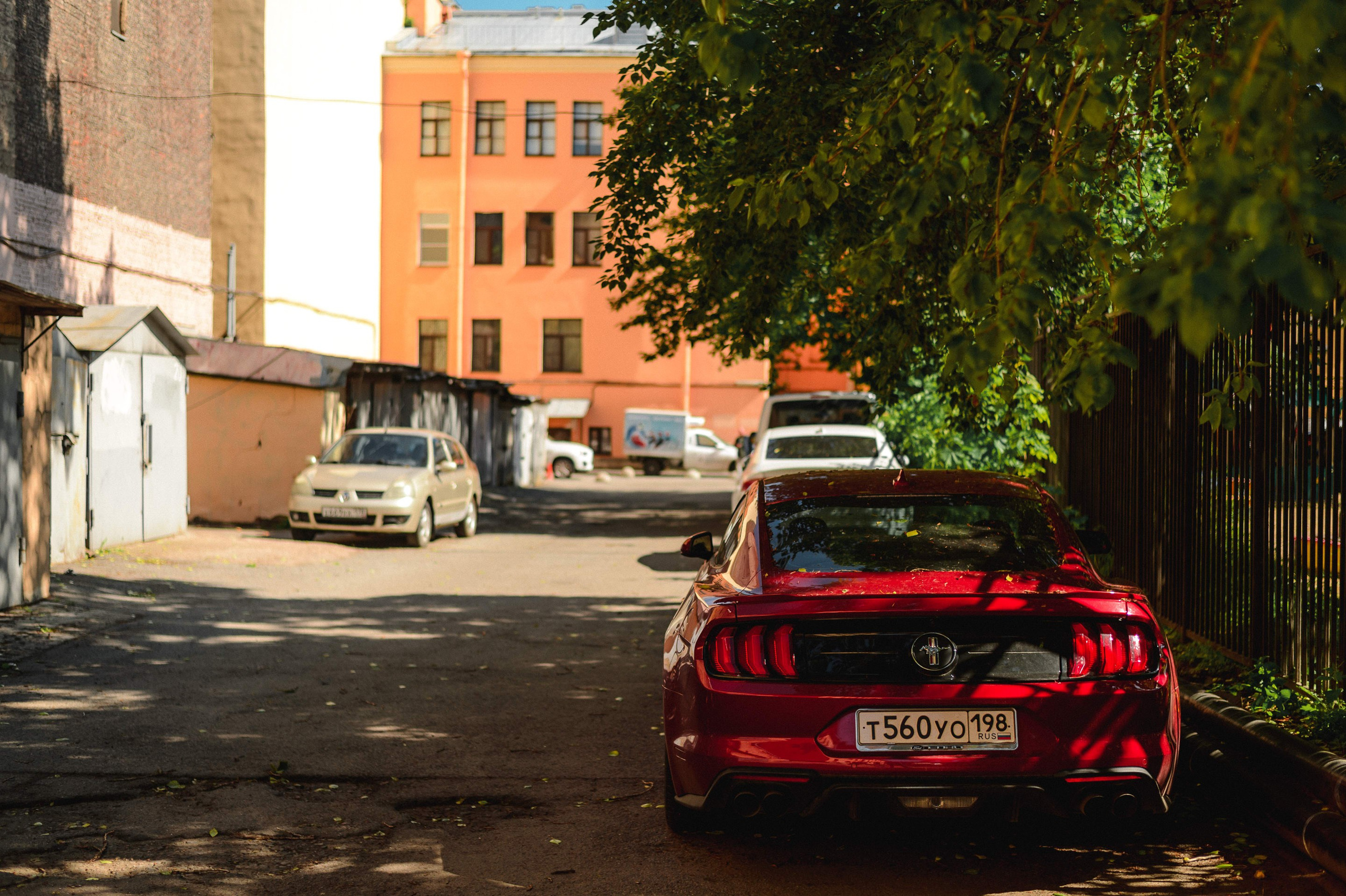 2025.06. Фотограф Алексей Алексеев