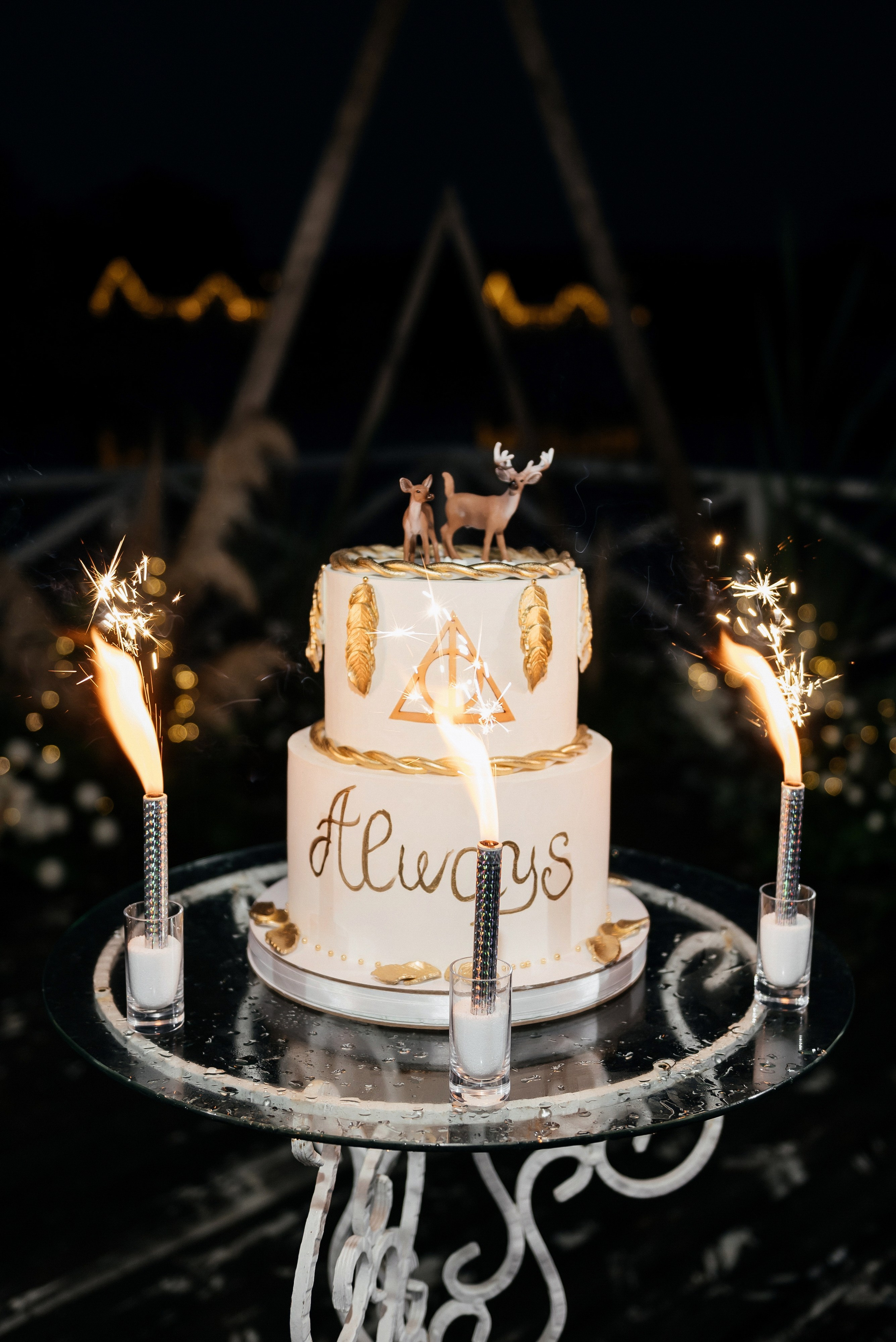 Никита и Софья. Zhulanovilya