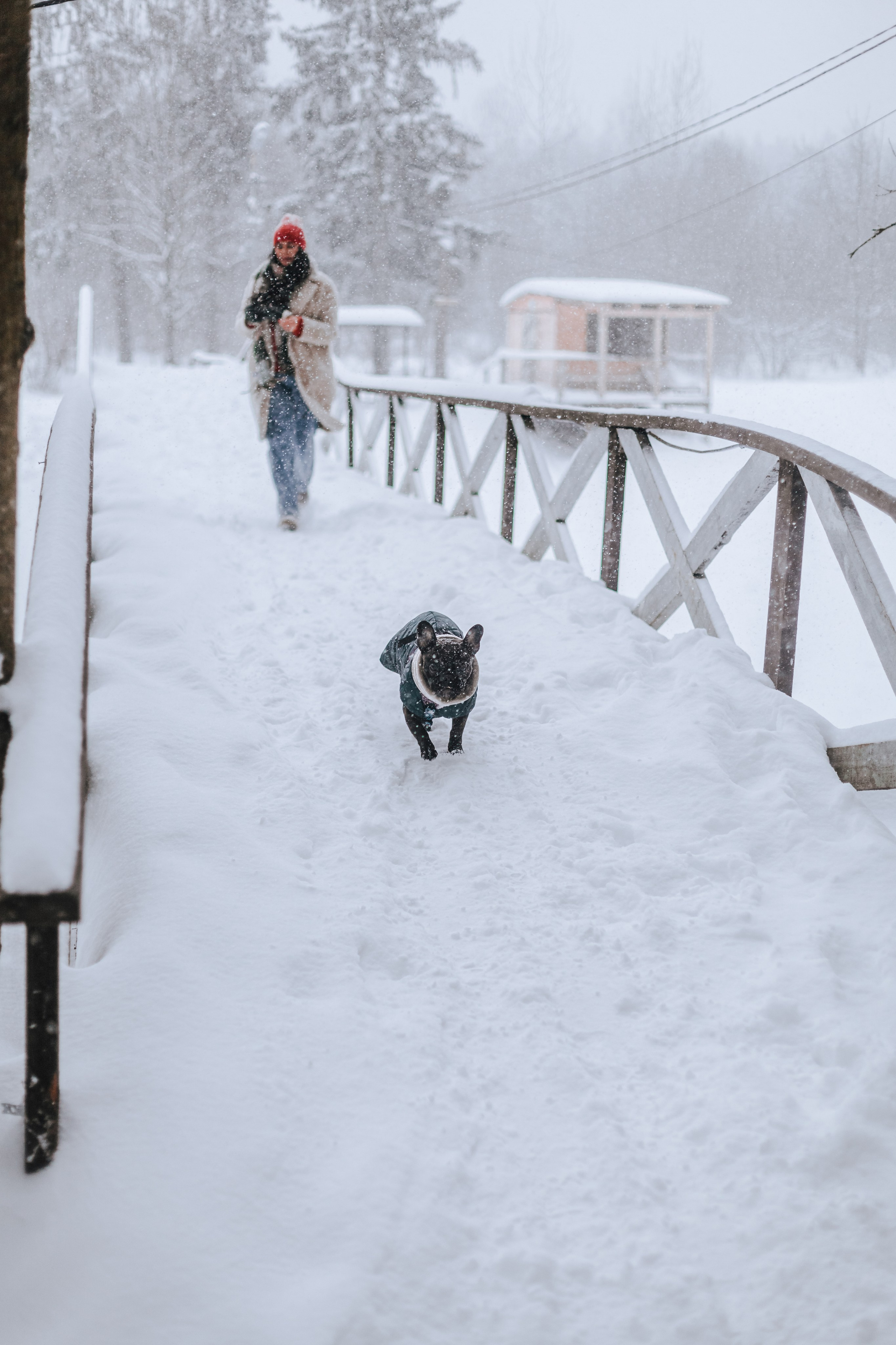 Кантри Хаус. Фотограф-анималист Татьяна Степанова