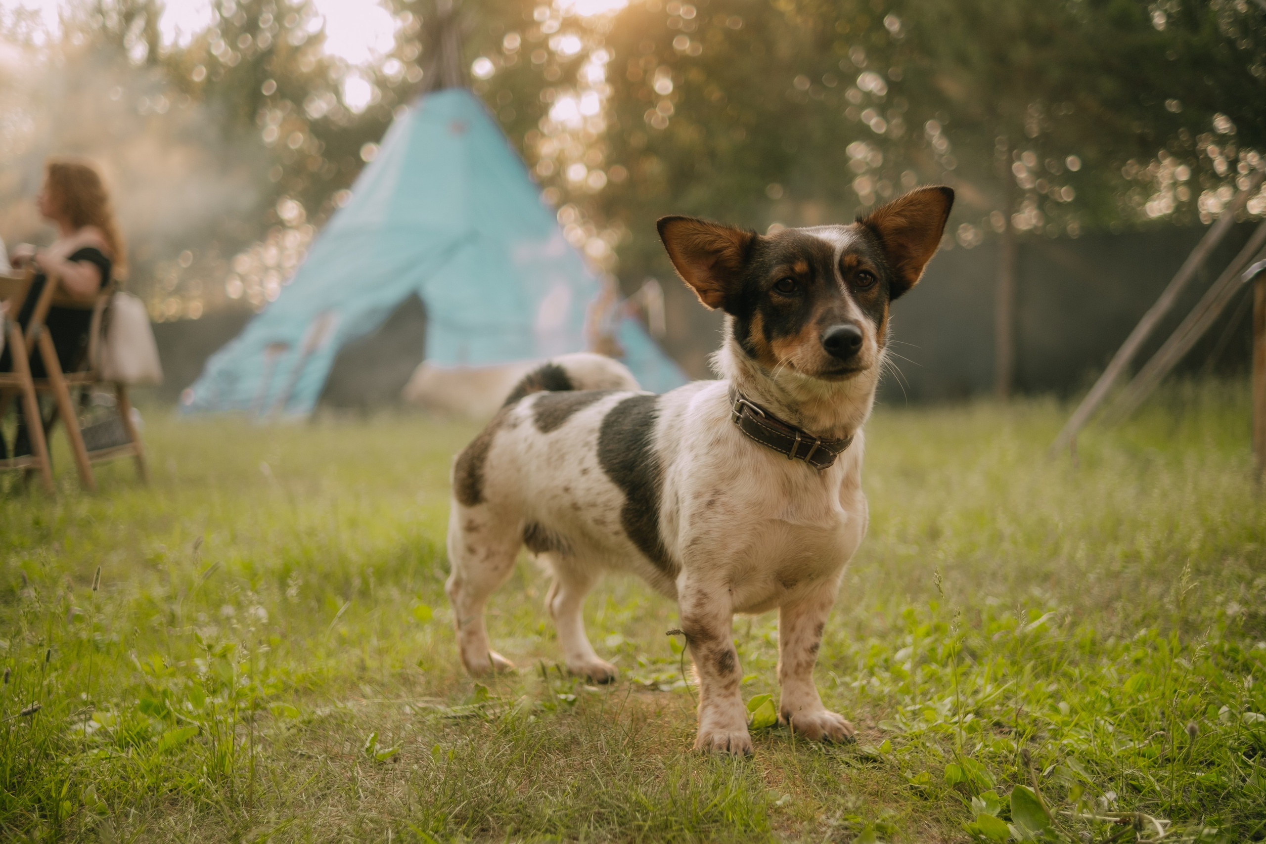 Выезд на этностойбище ресторан — музей «Чум». Фотограф в Тюмени Кирилл Марфин