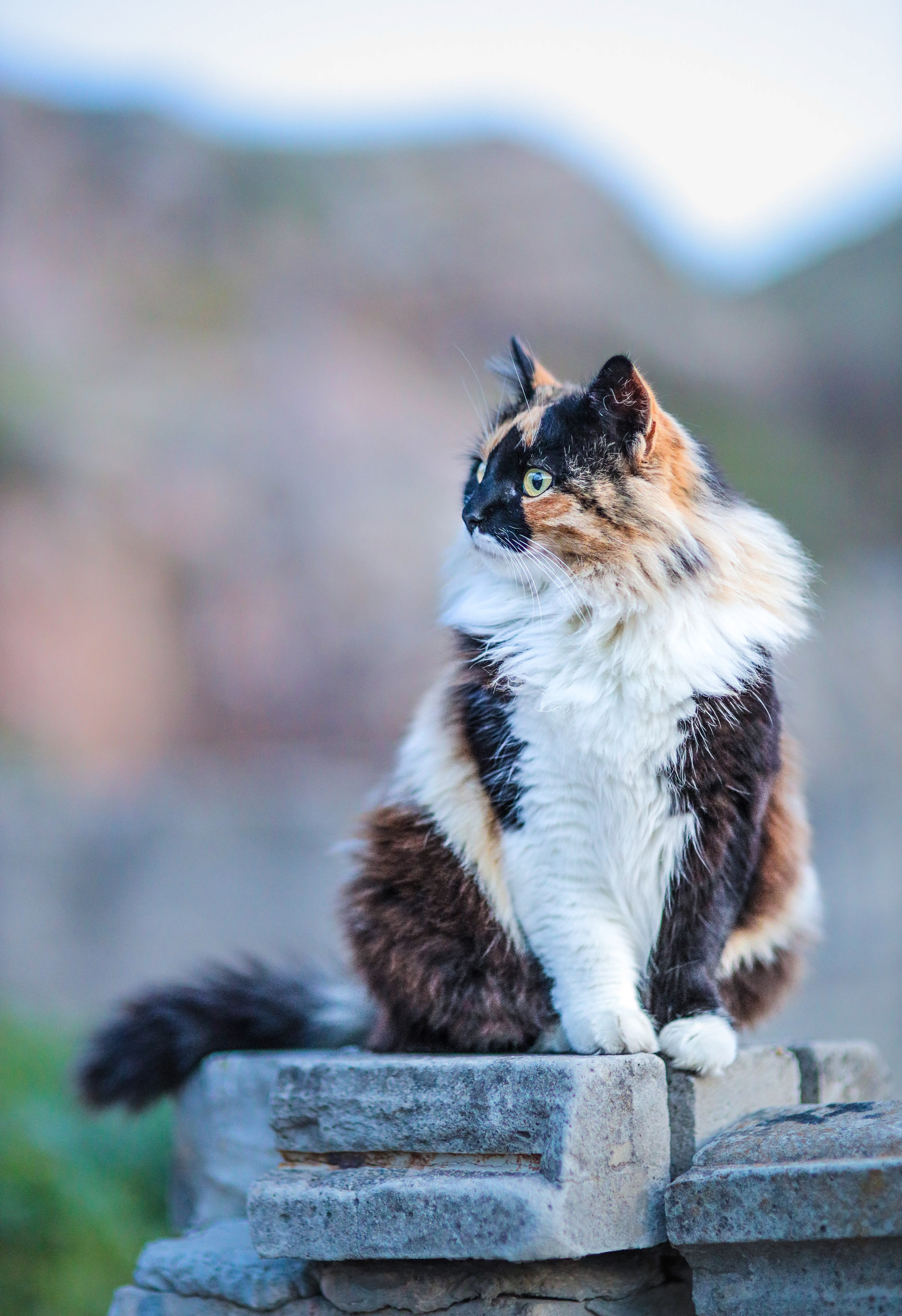 Природа. Глеб Захаренко — спортивный и репортажный фотограф в Крыму