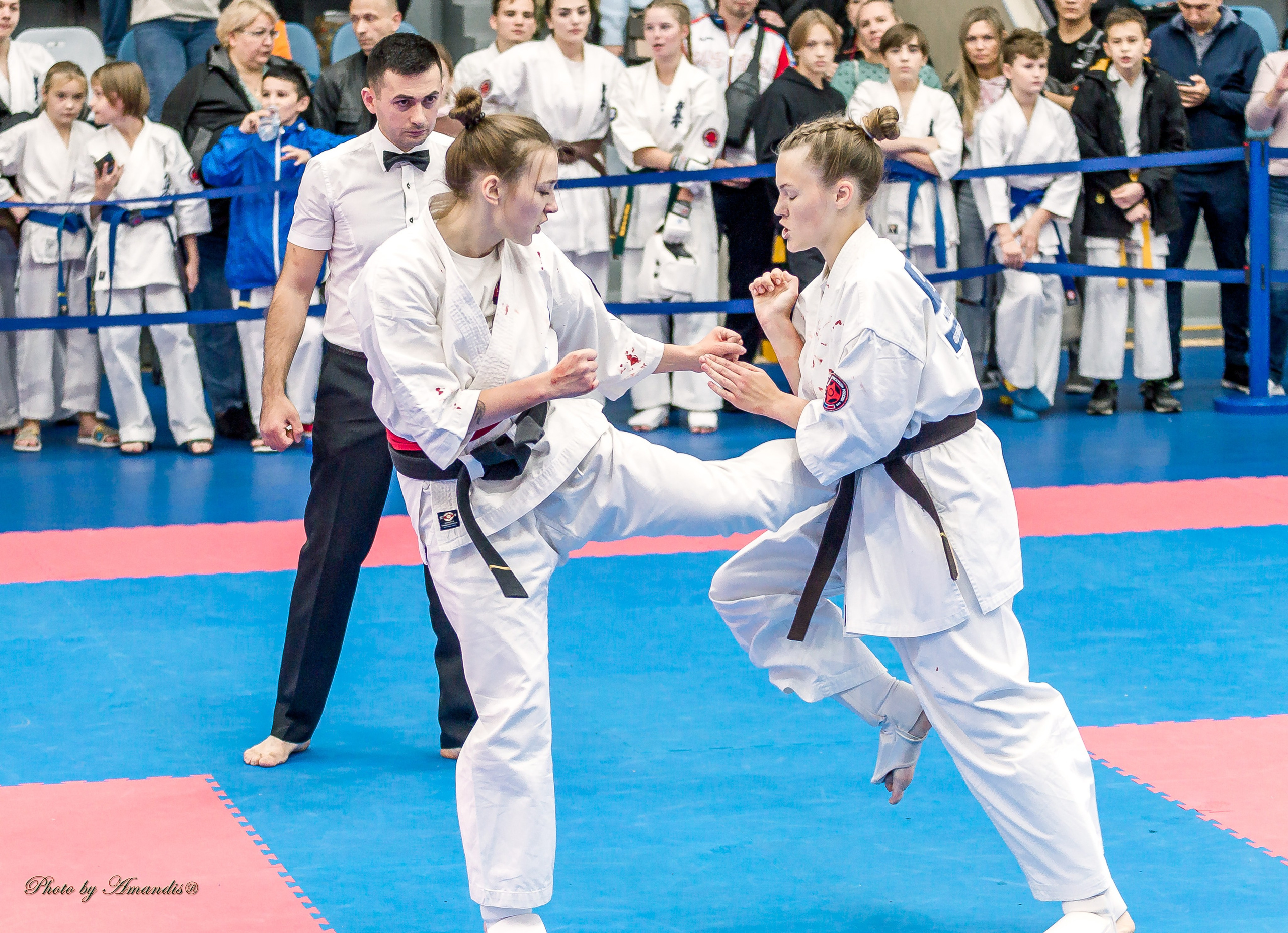 Чемпионат по Киокушинкай Центрального Федерального округа. Репортажная съемка в Москве и области. Анималистика