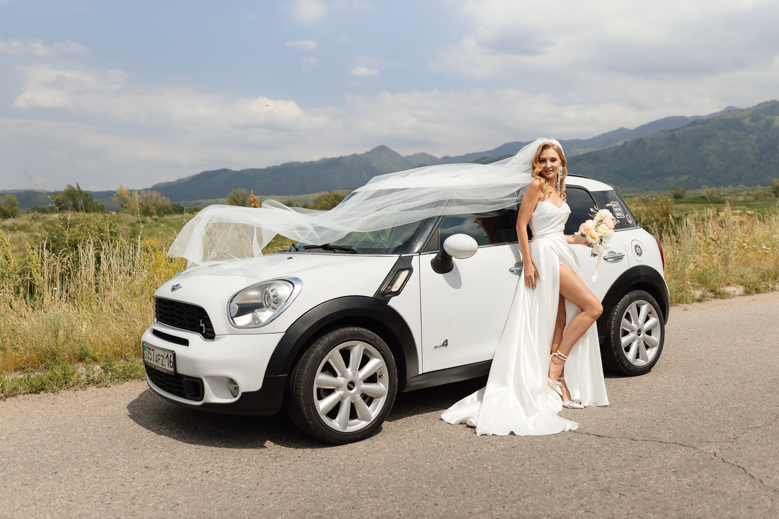 Штефан и Анастасия